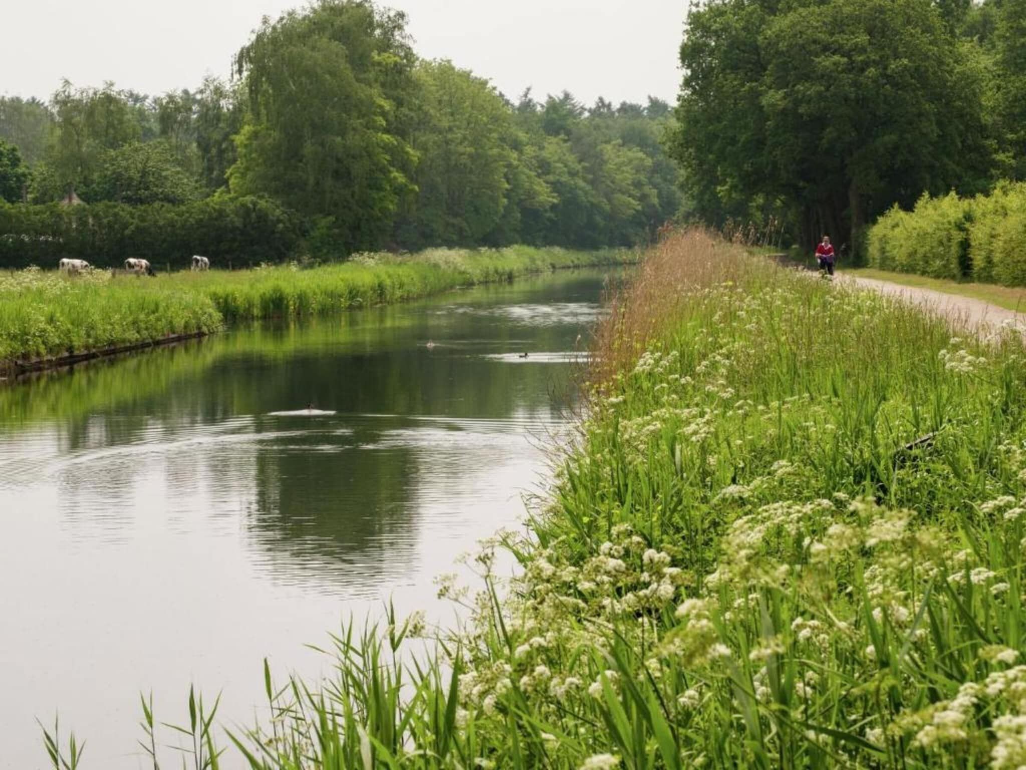 Koe in de Kost 4 in Heeten - Foto 30 van 40