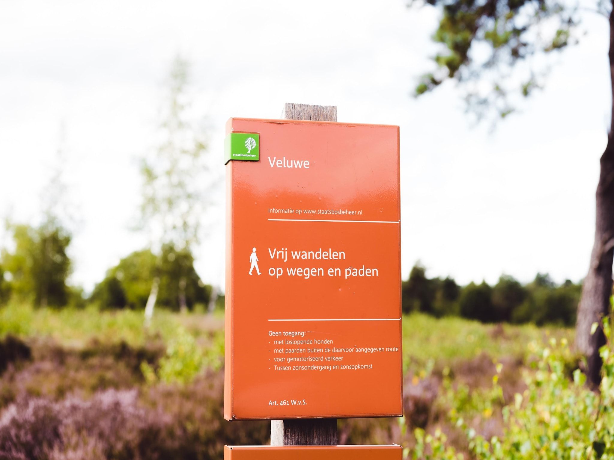 De omgeving van Bospark de Schaapskooi 10 in Wissel/Epe