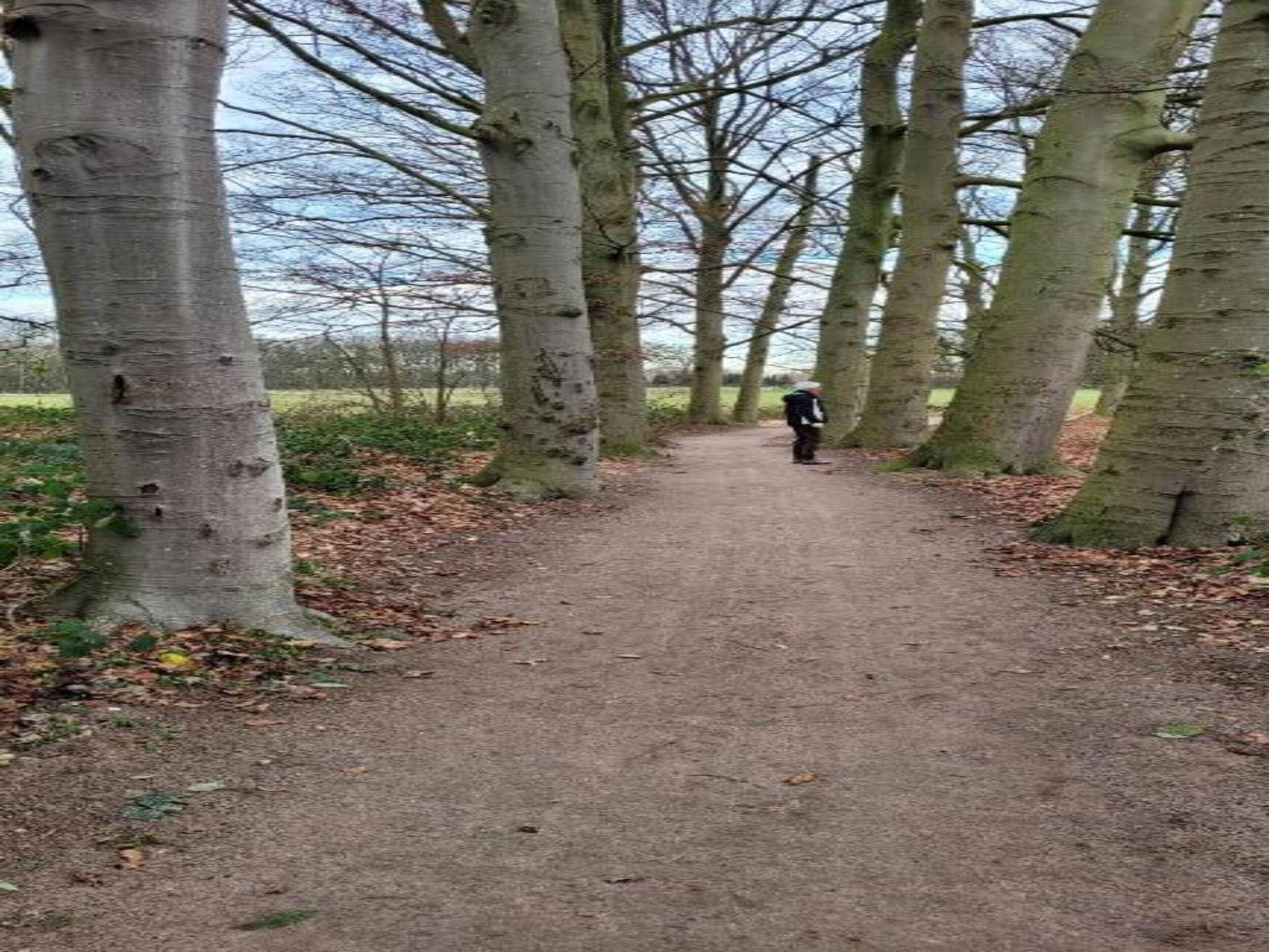 Vakantiepark 't Broeckhuys 3 in Ewijk - Foto 25 van 40