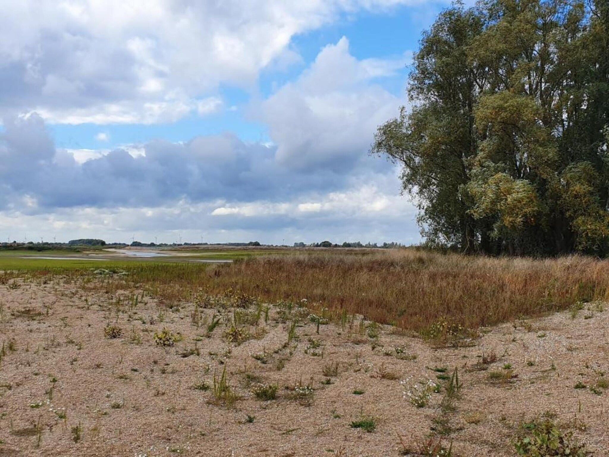 Vakantiepark 't Broeckhuys 3 in Ewijk - Foto 22 van 40