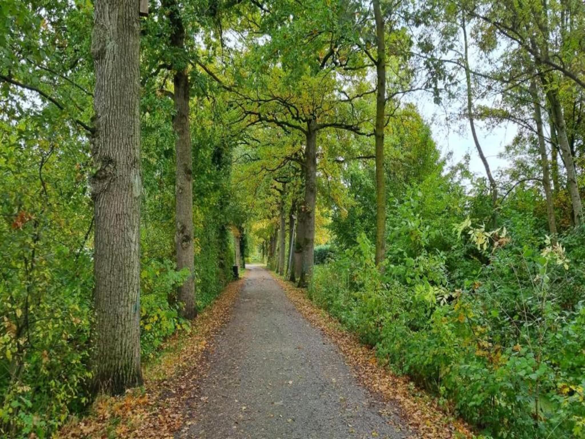 Vakantiepark 't Broeckhuys 3 in Ewijk - Foto 7 van 40