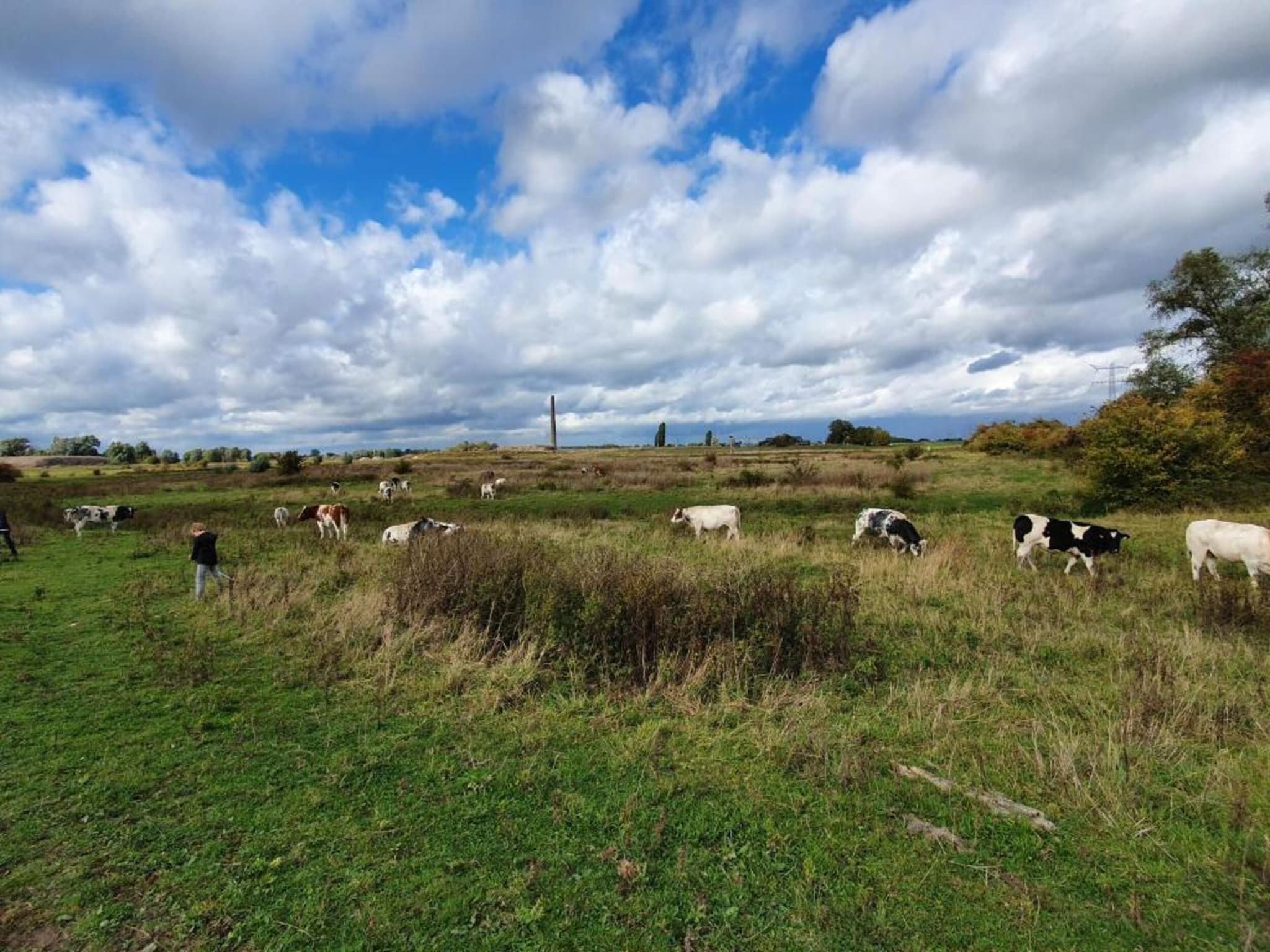 Vakantiepark 't Broeckhuys 6 in Ewijk - Foto 21 van 40