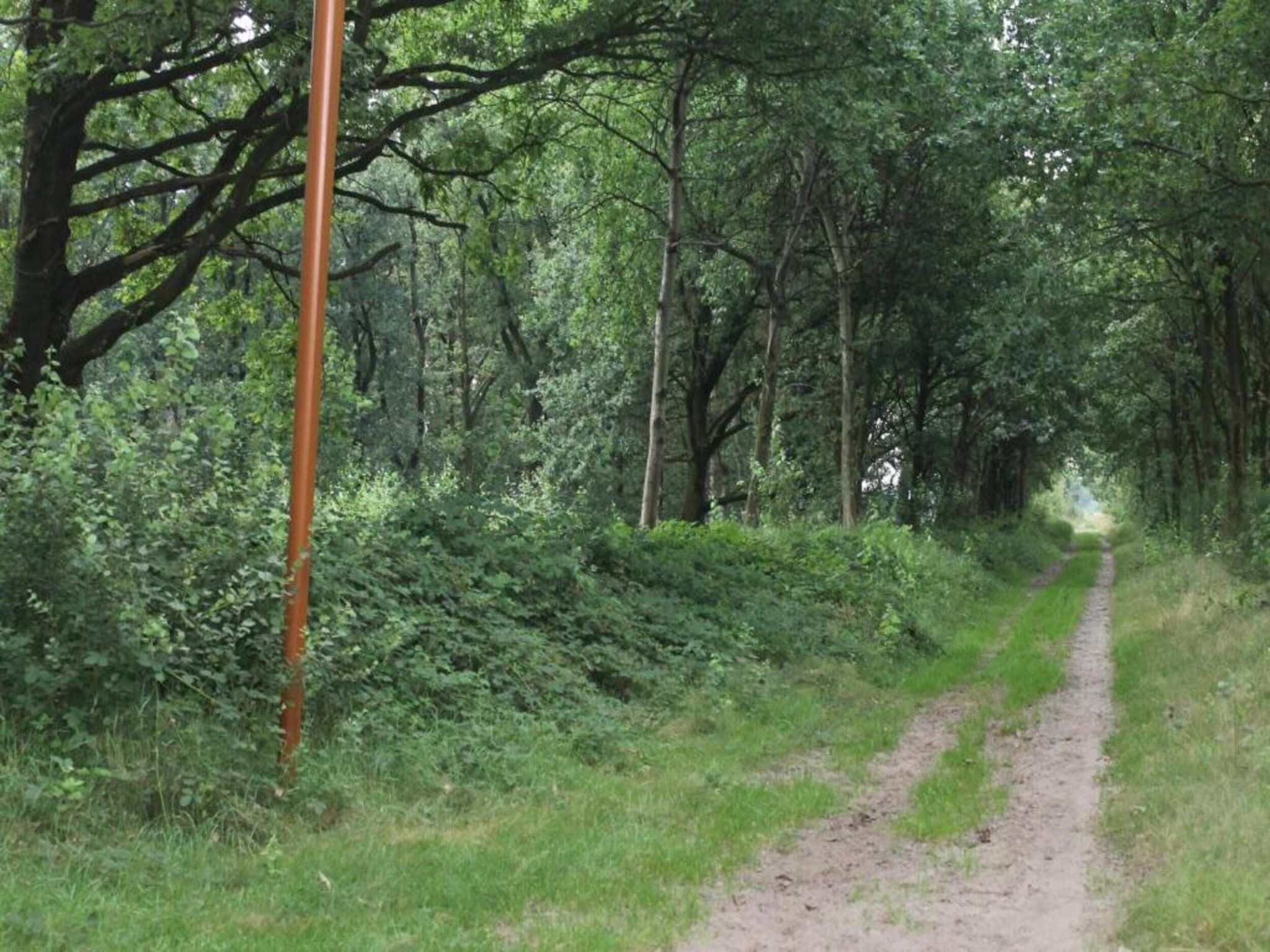 De omgeving van Vakantiepark de Katjeskelder 24 in Oosterhout