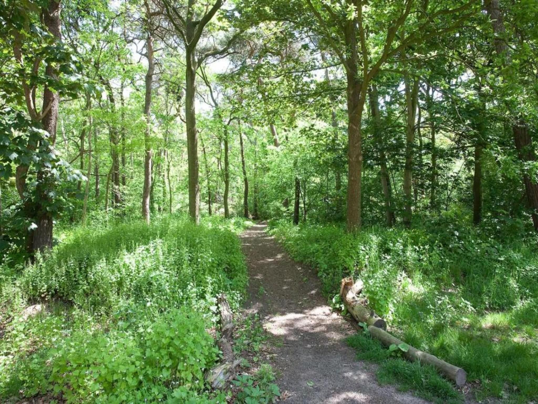 De omgeving van Vakantiepark de Katjeskelder 24 in Oosterhout