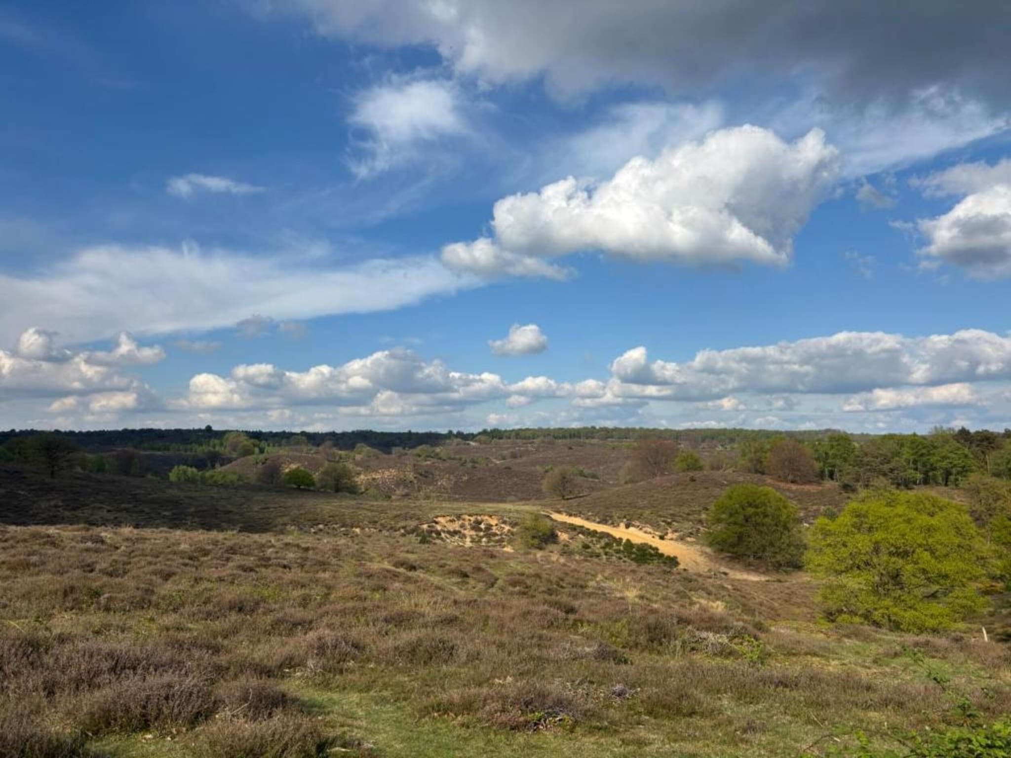 Recreatiepark Rhederlaagse Meren 21 in Lathum - Foto 36 van 40