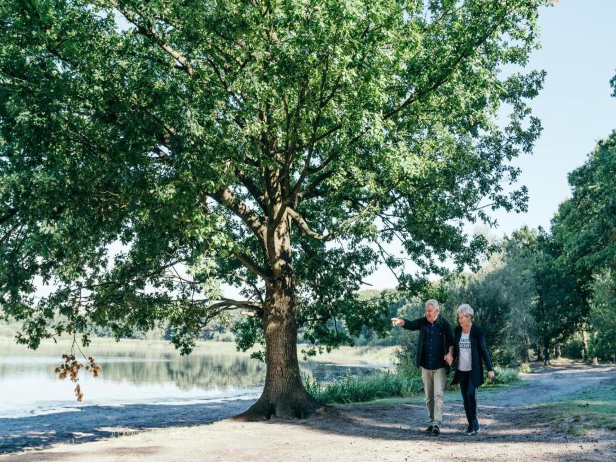 Vakantiepark Latour 4 in Oirschot - Foto 40 van 40