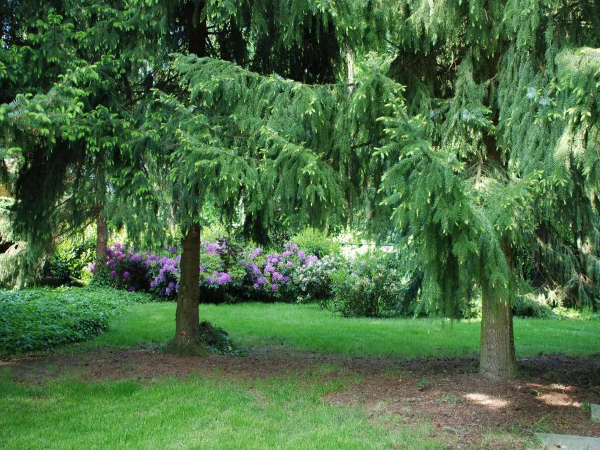 Vakantiepark Klein Vink 23 in Arcen - Foto 26 van 40