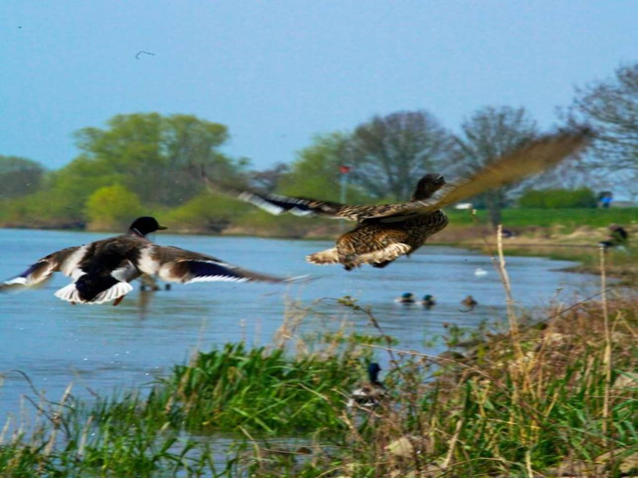 Vakantiepark Klein Vink 24 in Arcen - Foto 30 van 40