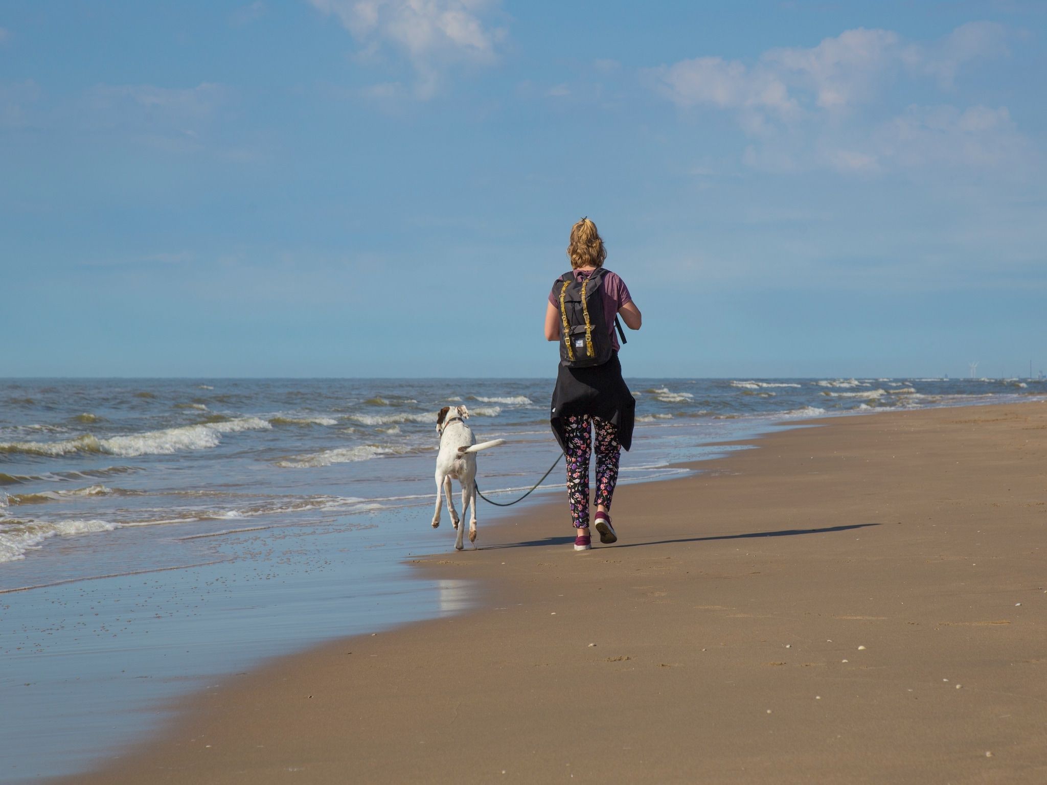 De omgeving van Vakantiepark Duinrust 2 in Noordwijk aan zee