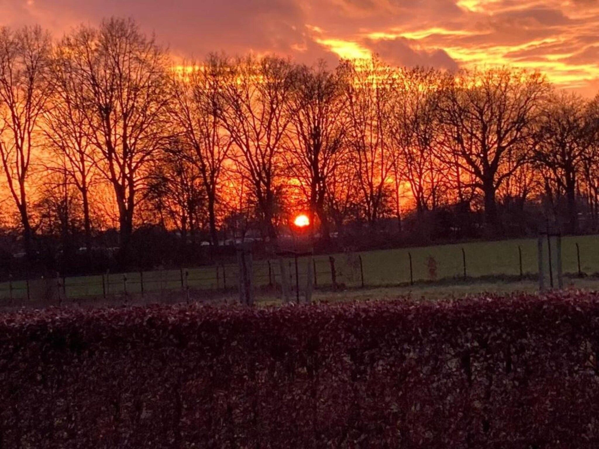 Vakantie bij Meeussen - Molendal 3 in Plasmolen - Foto 30 van 40