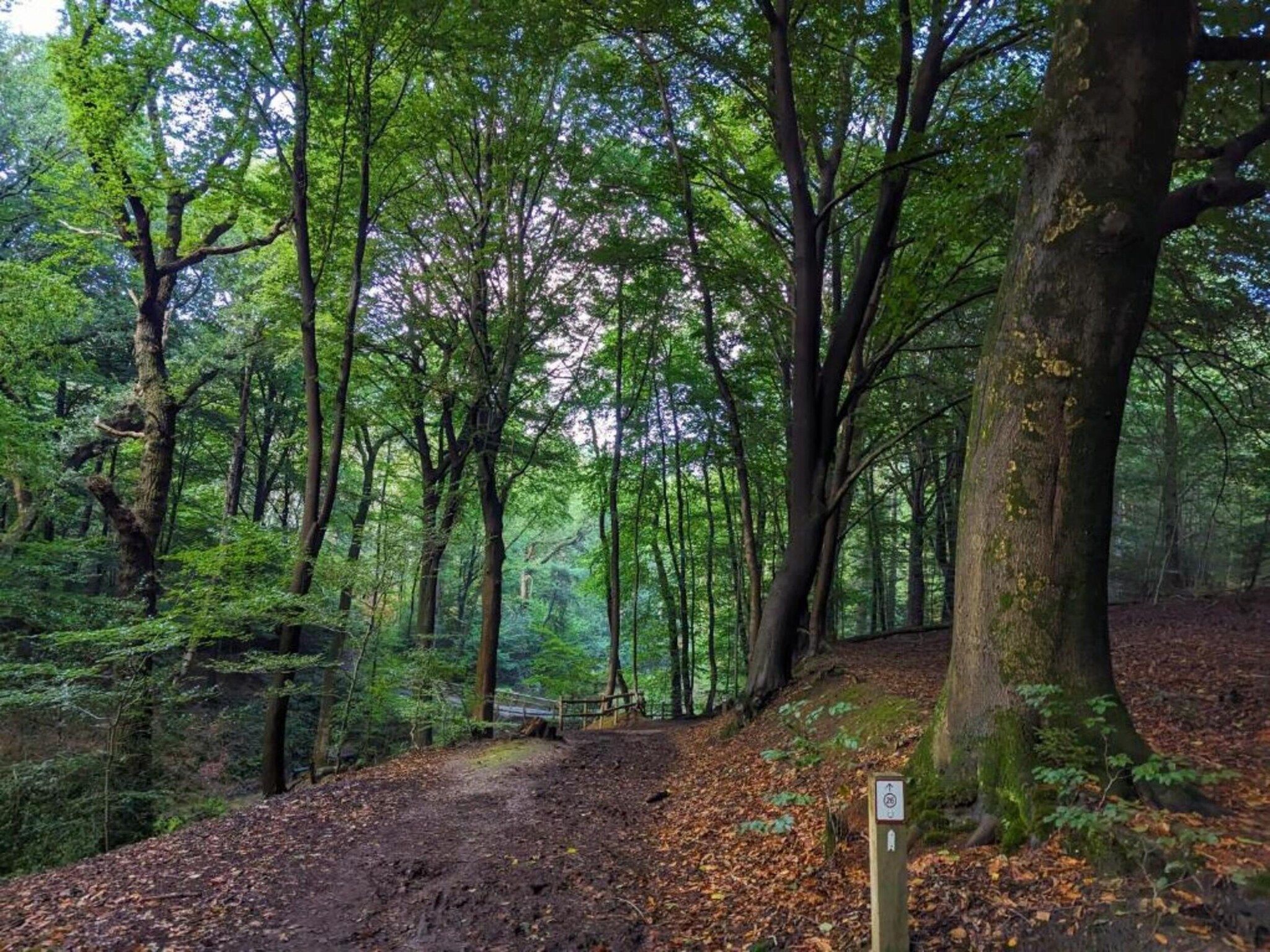 Vakantie bij Meeussen - Molendal 3 in Plasmolen - Foto 37 van 40
