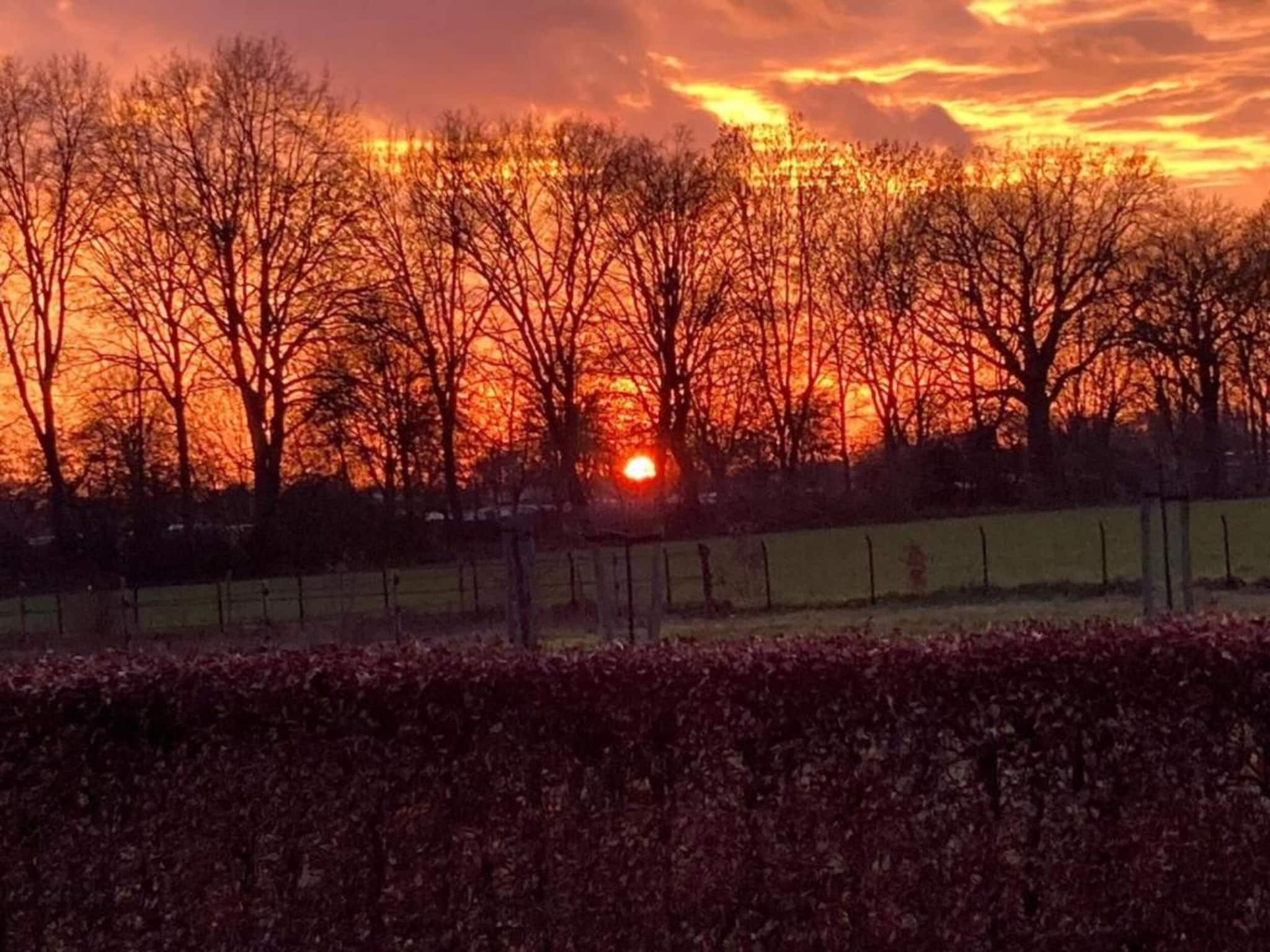 Vakantie bij Meeussen - Molendal 4 in Plasmolen - Foto 33 van 41