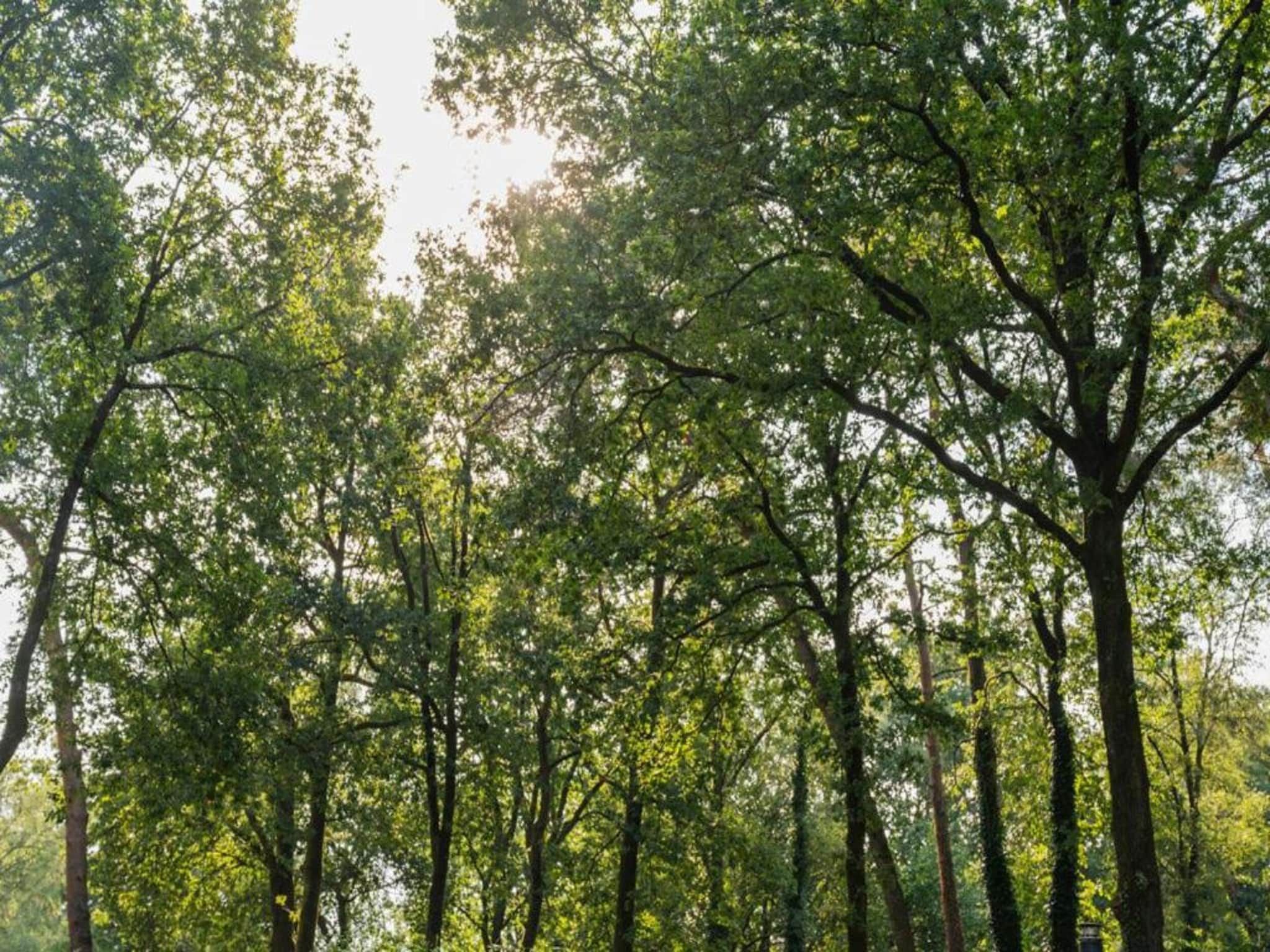 De omgeving van Vakantiepark De Rimboe & De Woeste Hoogte 42 in Hoenderloo