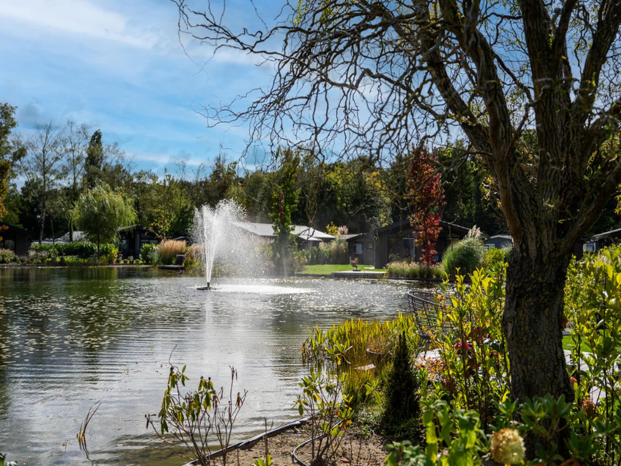 Vakantiepark Molenvelden 10 in Veldhoven - Foto 36 van 39