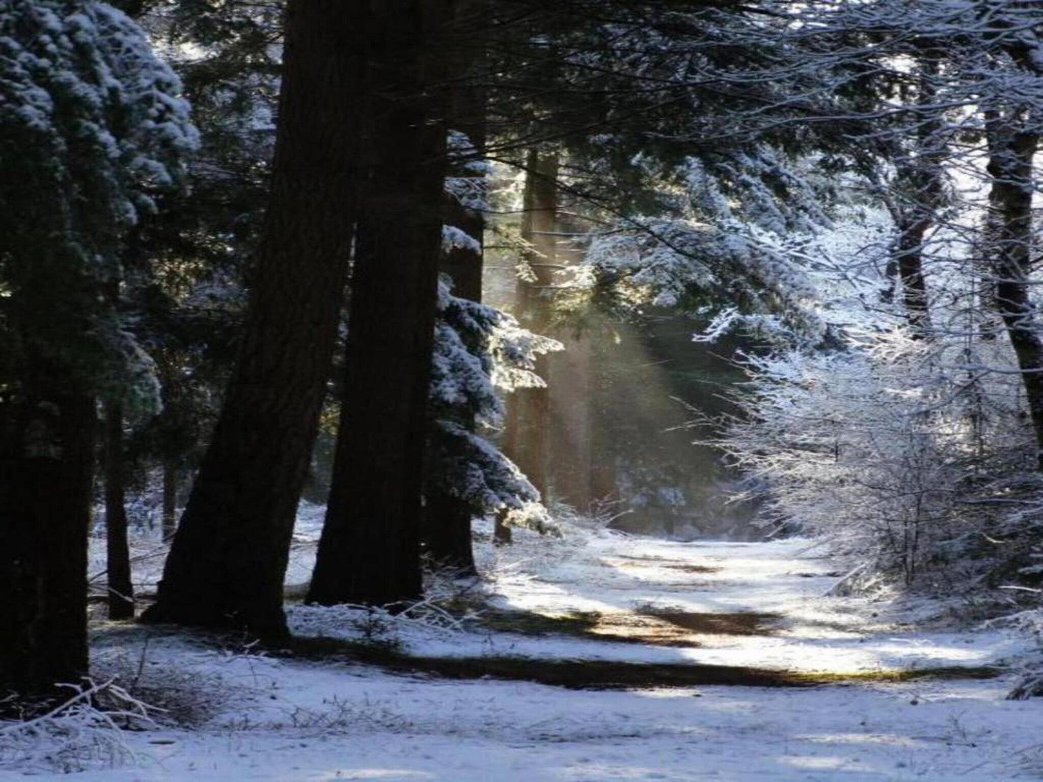 't Landgoed Baars 1 in Baars - Foto 33 van 38