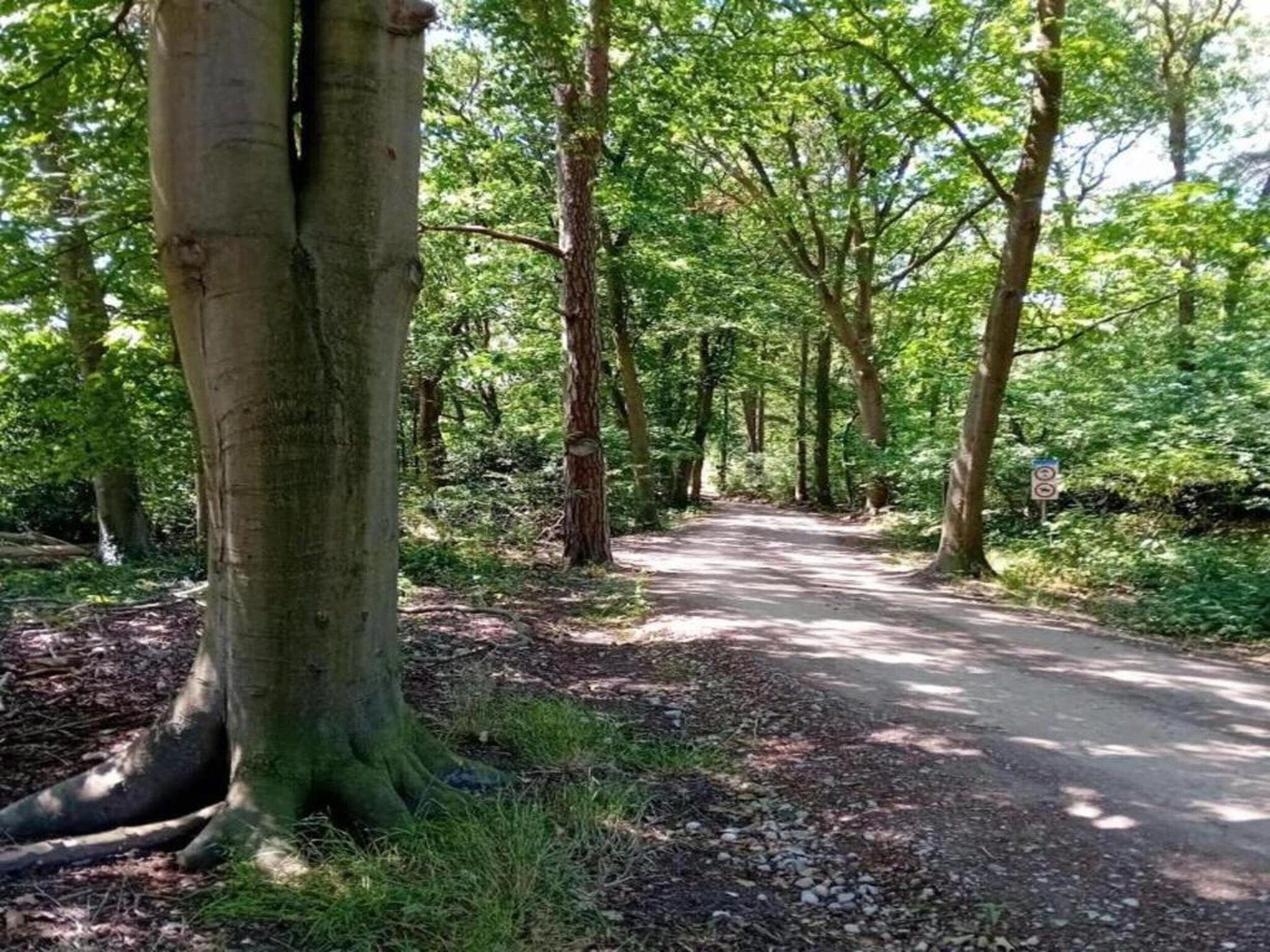 't Landgoed Baars 1 in Baars - Foto 28 van 38