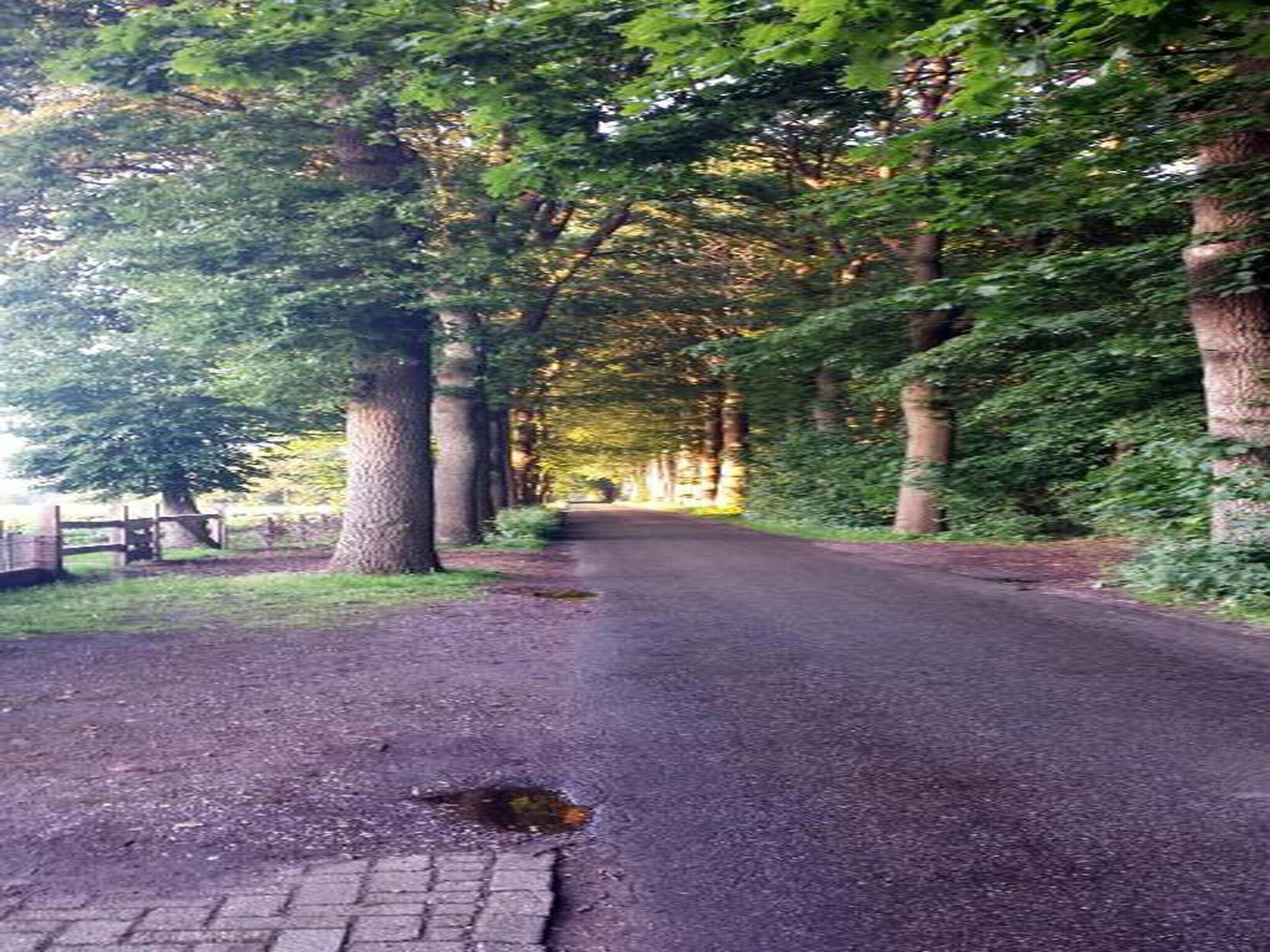 't Landgoed Baars 3 in Baars - Foto 19 van 34