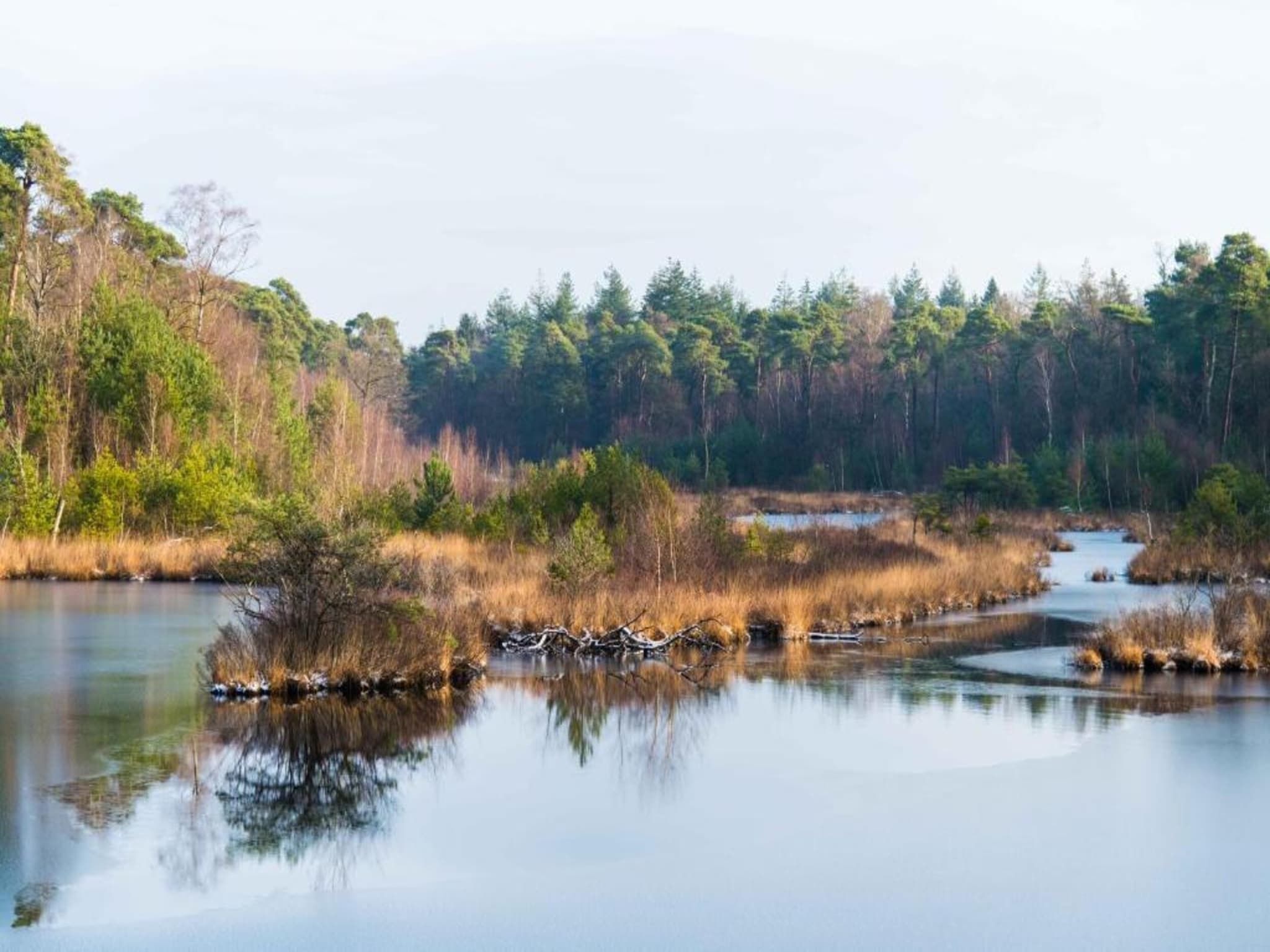 Vakantiepark Molenvelden 11 in Veldhoven - Foto 7 van 26