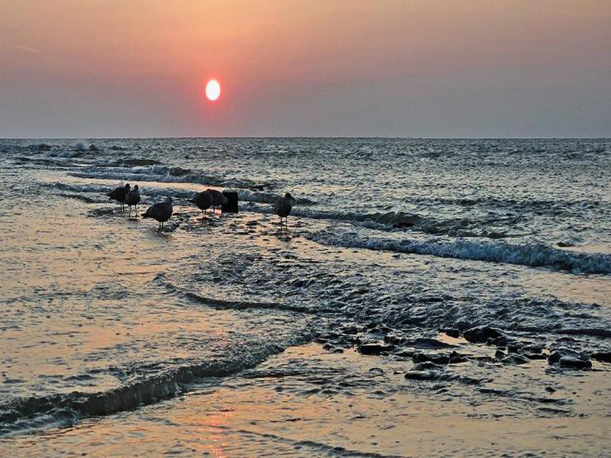 Vakantiepark Duynzicht 2 in Julianadorp aan zee - Foto 30 van 40