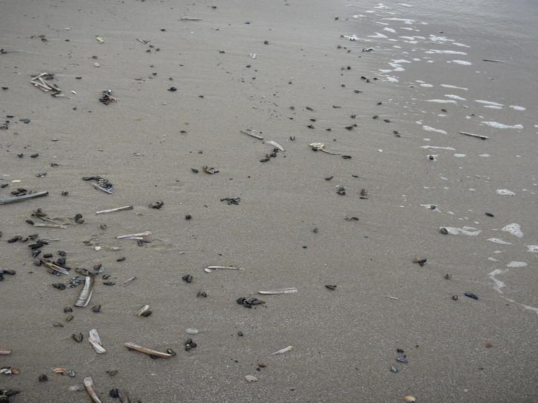Vakantiepark Duynzicht 3 in Julianadorp aan zee - Foto 31 van 41
