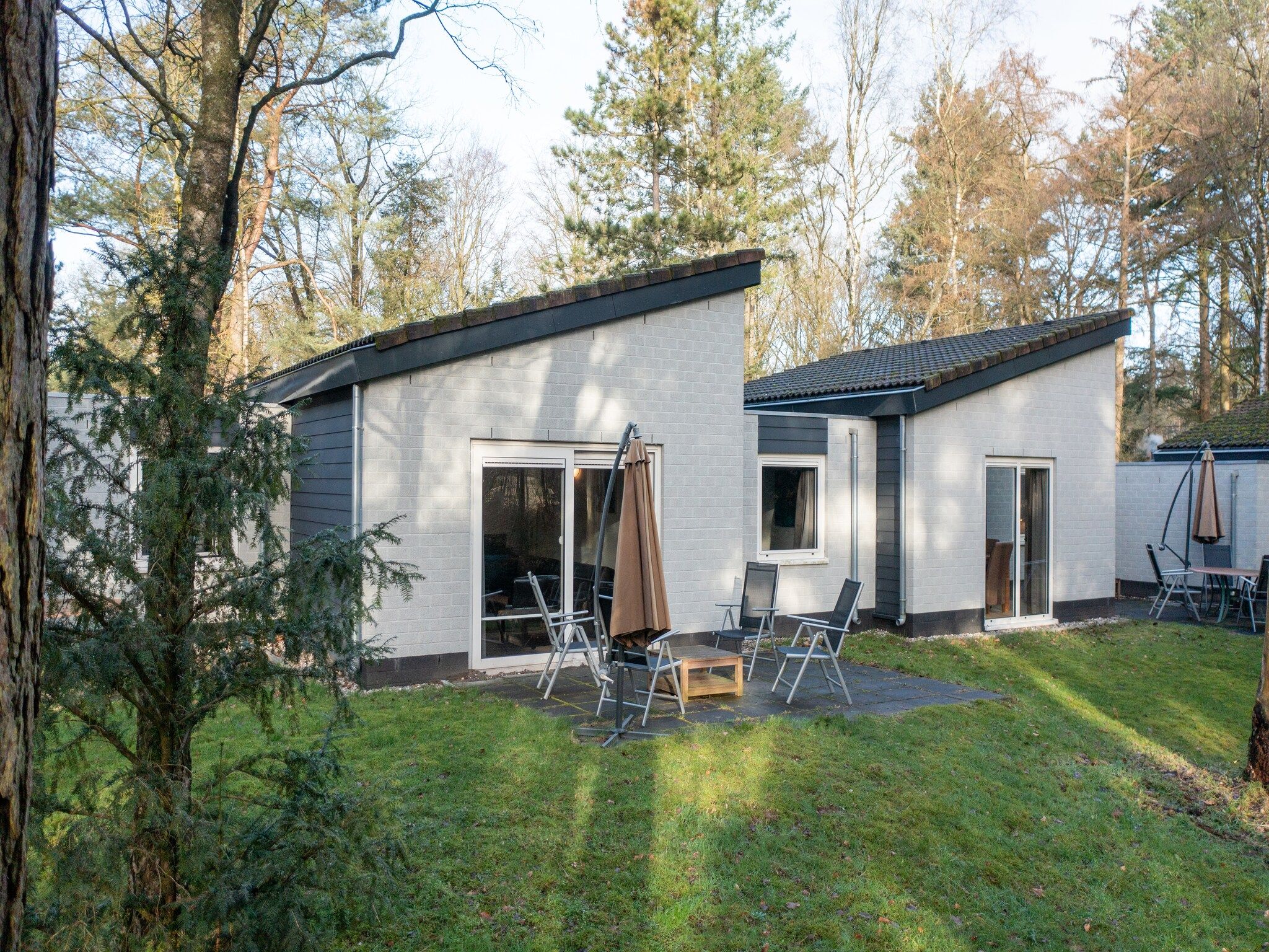 Het uitzicht vanaf Vakantiepark de Berkenhorst 16 in Kootwijk