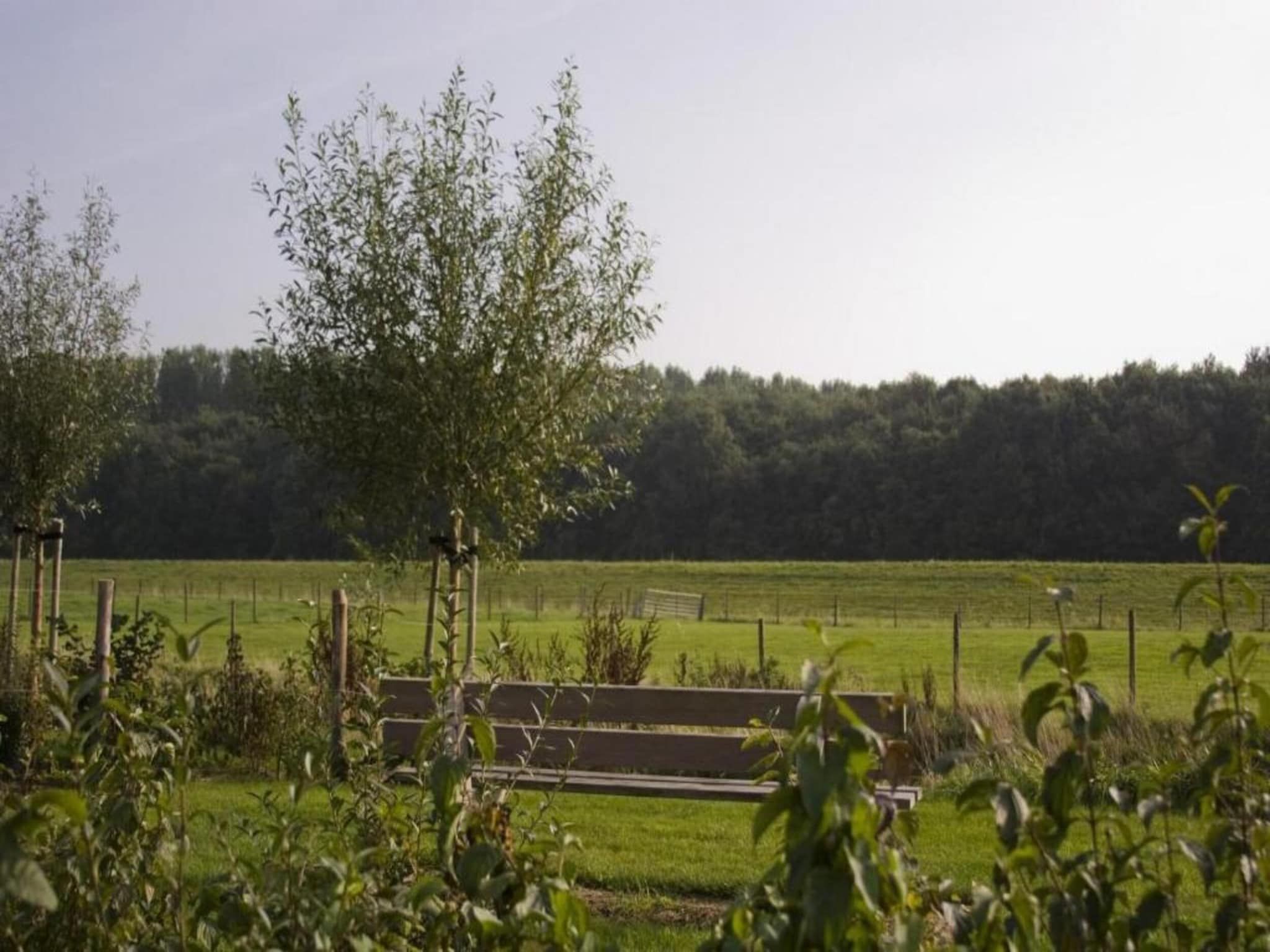 Water Resort Oosterschelde 56 in Wemeldinge - Foto 36 van 40