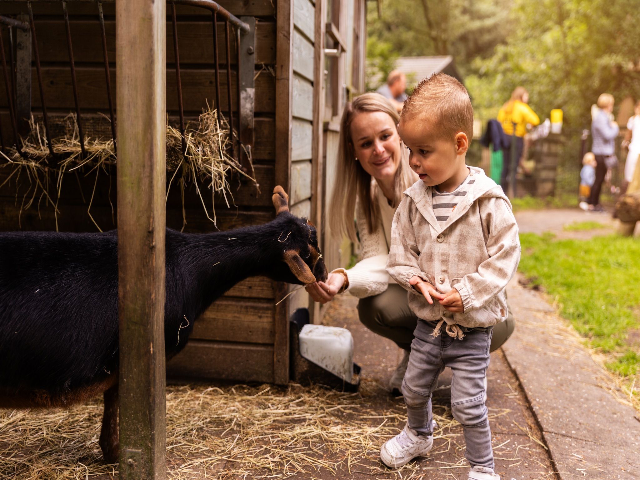 Parkfaciliteiten bij Parc Heihaas 1 in Putten