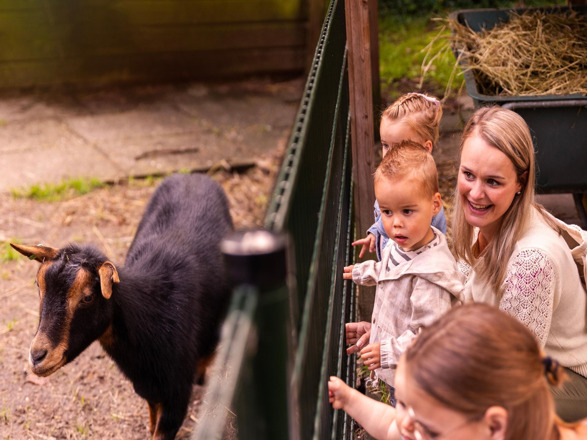 Parkfaciliteiten bij Parc Heihaas 4 in Putten