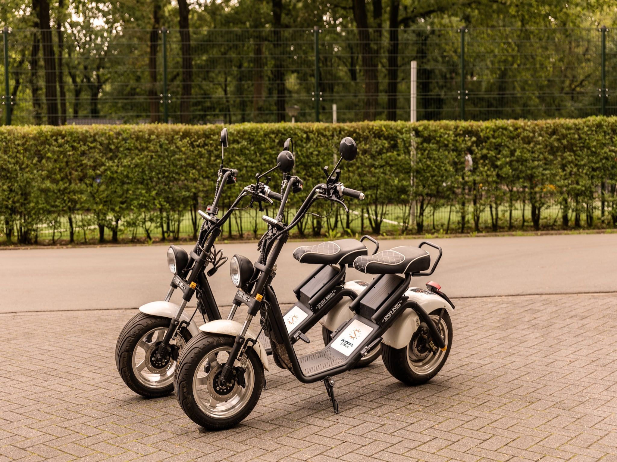 Parkfaciliteiten bij Parc Heihaas 15 in Putten