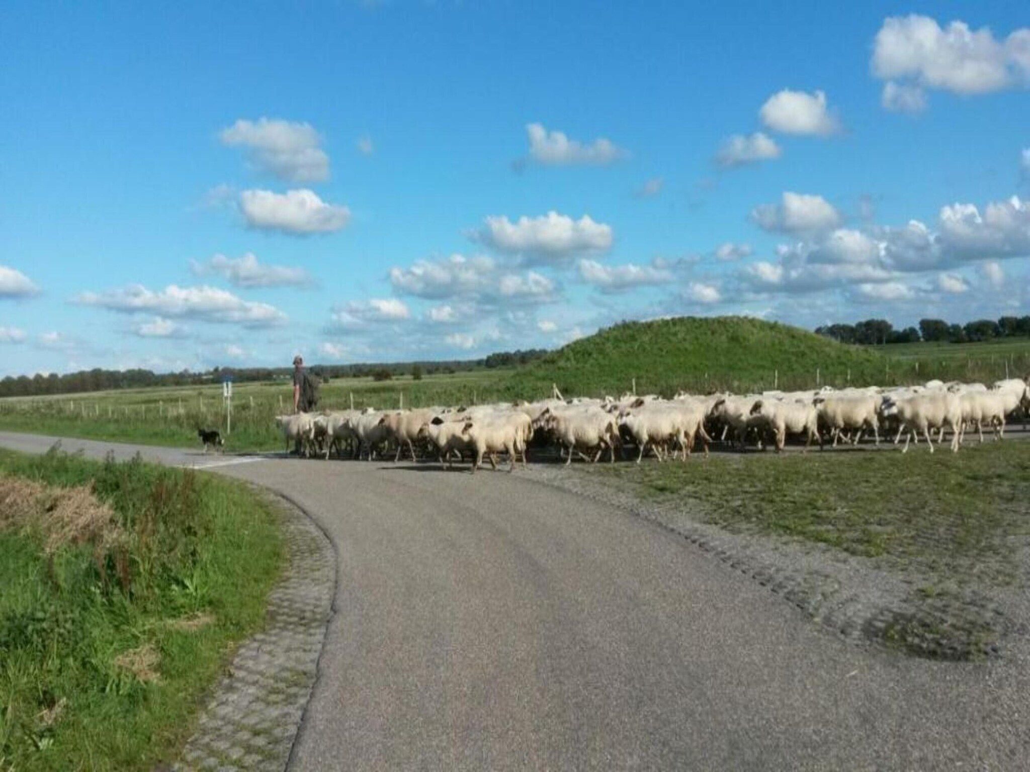 Harbour Village 4 in Arnemuiden - Foto 23 van 37