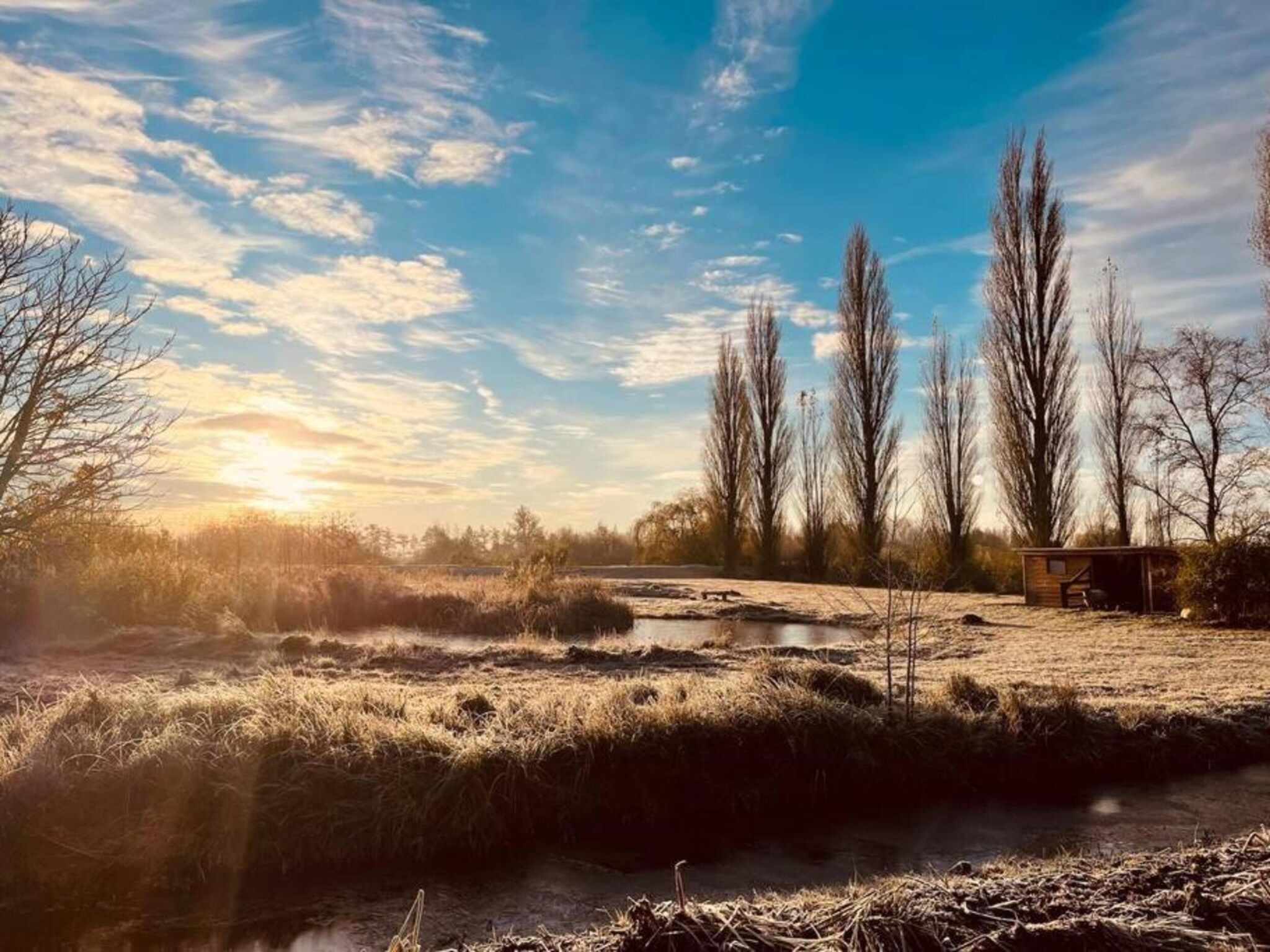 Docklodge 12 in Delfstrahuizen - Foto 37 van 40