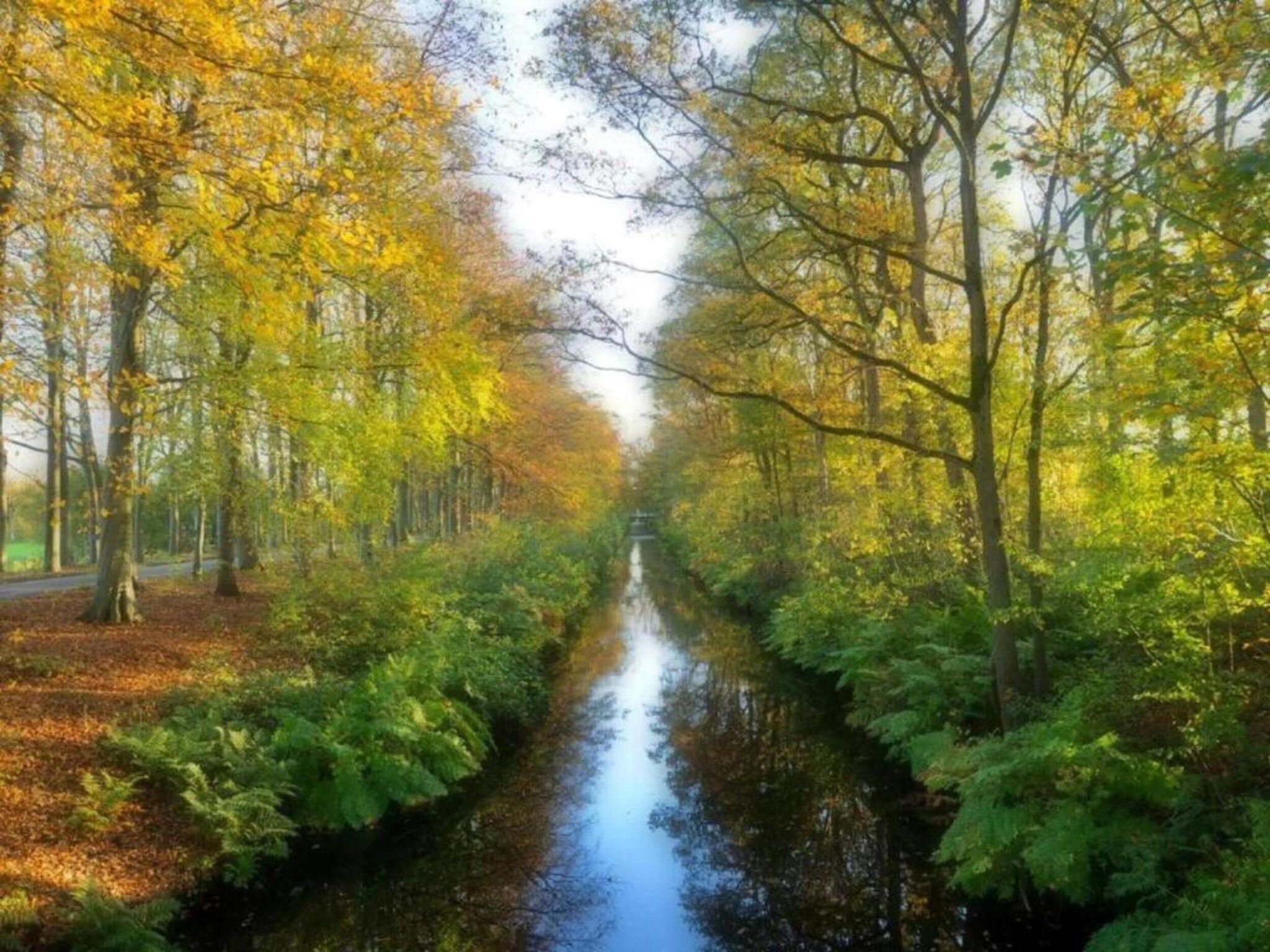 De omgeving van Docklodge 12 in Delfstrahuizen