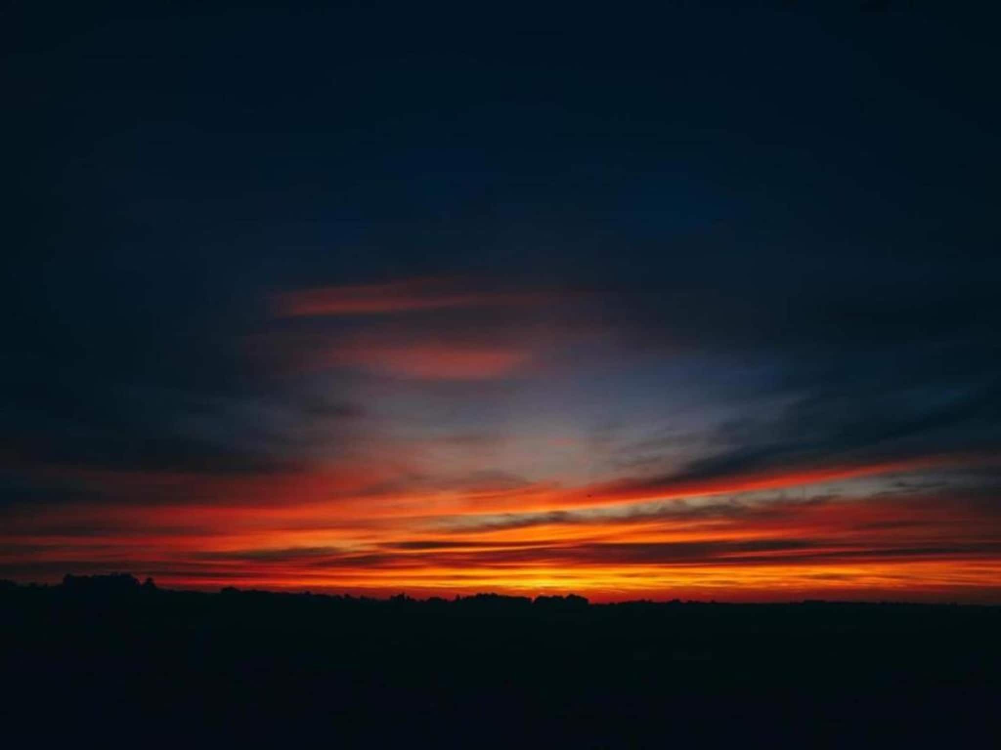 De omgeving van Docklodge 16 in Delfstrahuizen