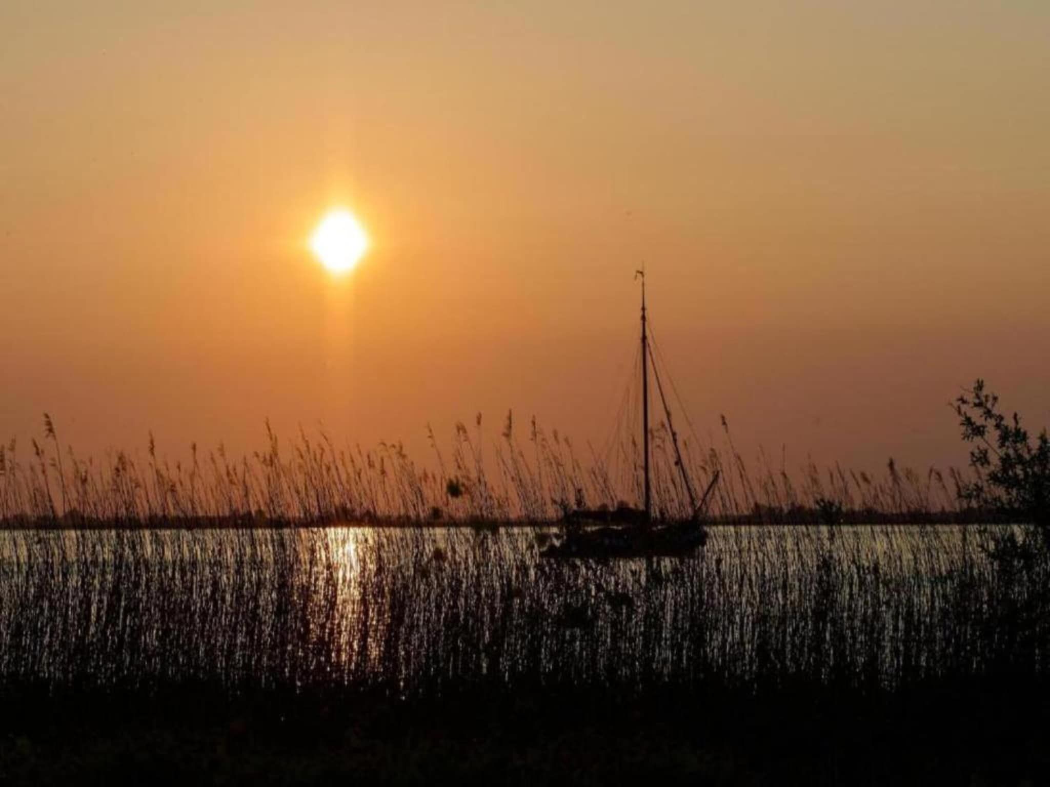 De omgeving van Docklodge 16 in Delfstrahuizen