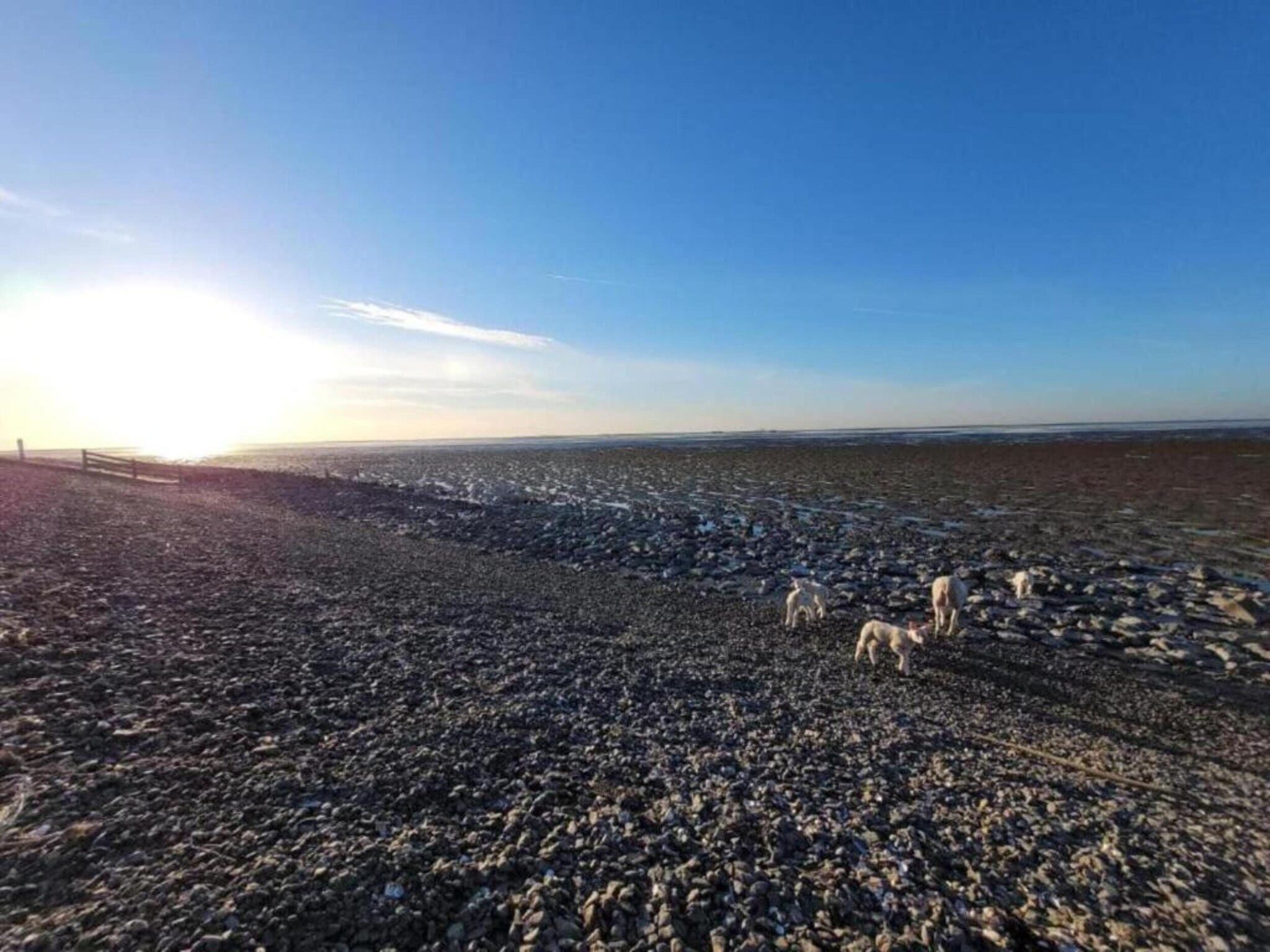 De omgeving van Docklodge 16 in Delfstrahuizen