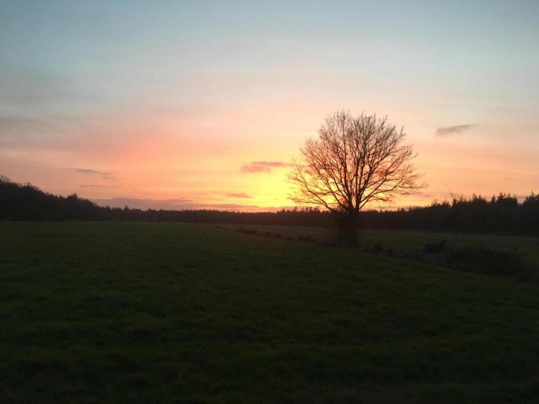 Docklodge 18 in Delfstrahuizen - Foto 22 van 40