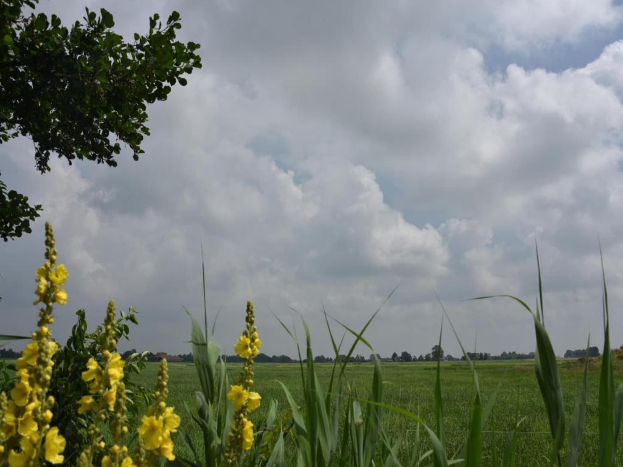 Docklodge 46 in Delfstrahuizen - Foto 36 van 40