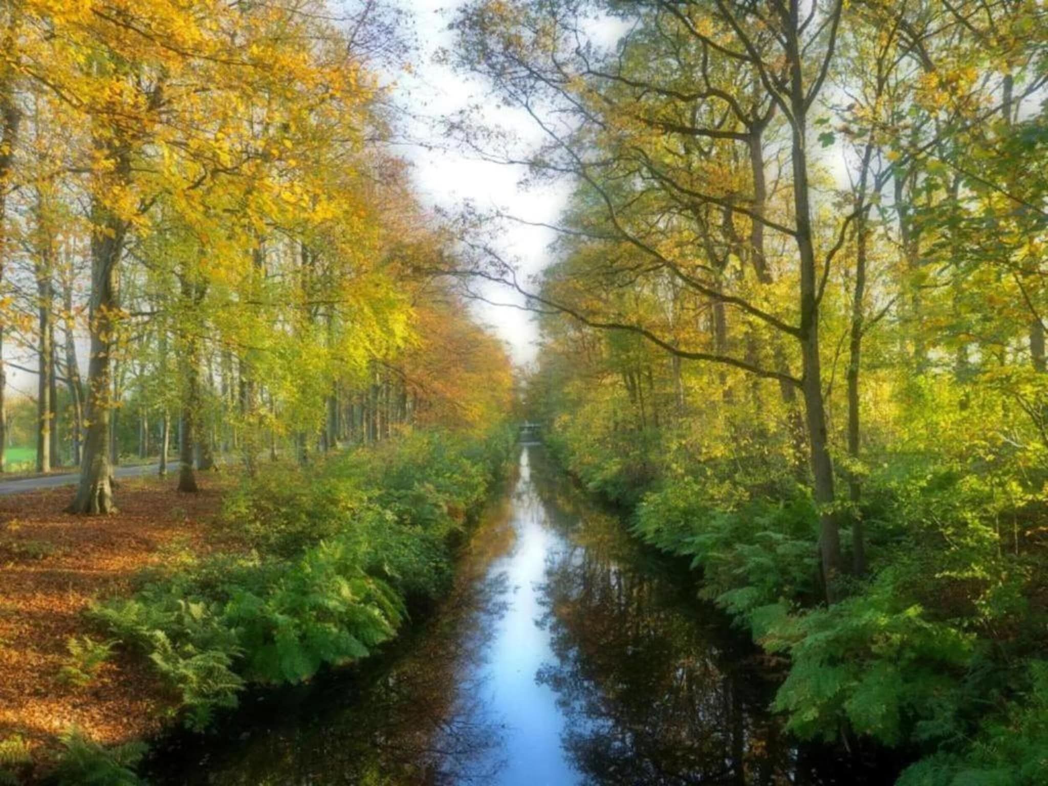 De omgeving van Docklodge 46 in Delfstrahuizen