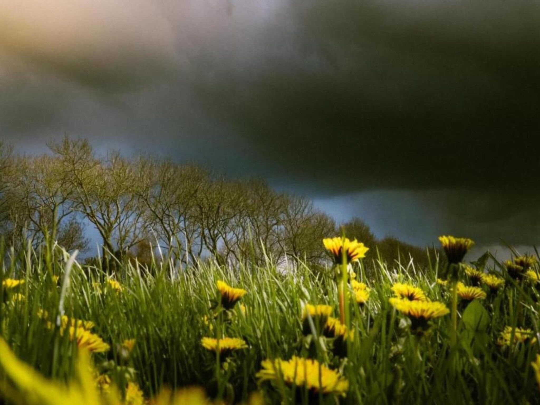 De omgeving van Docklodge 34 in Delfstrahuizen