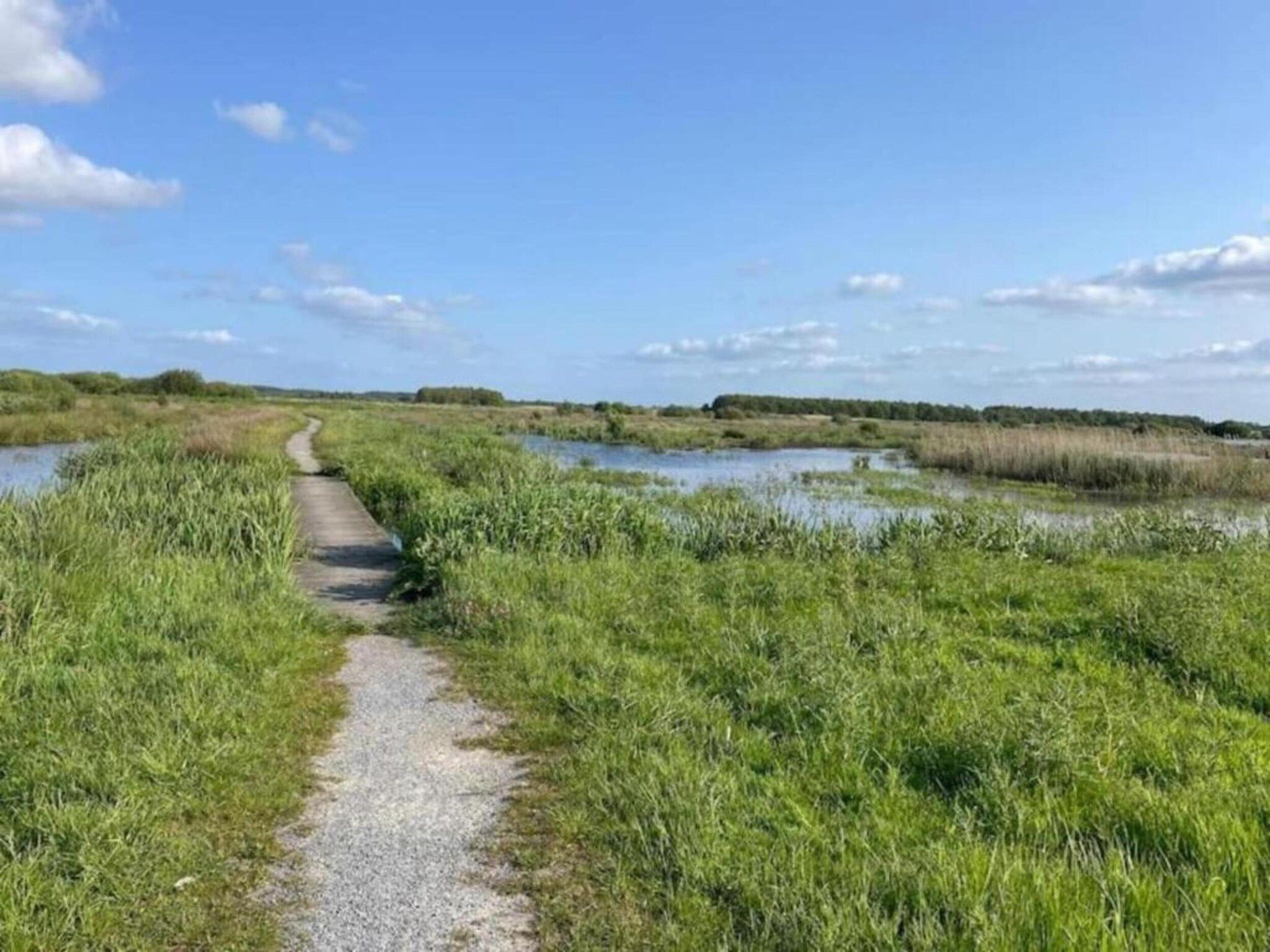 De omgeving van Docklodge 42 in Delfstrahuizen