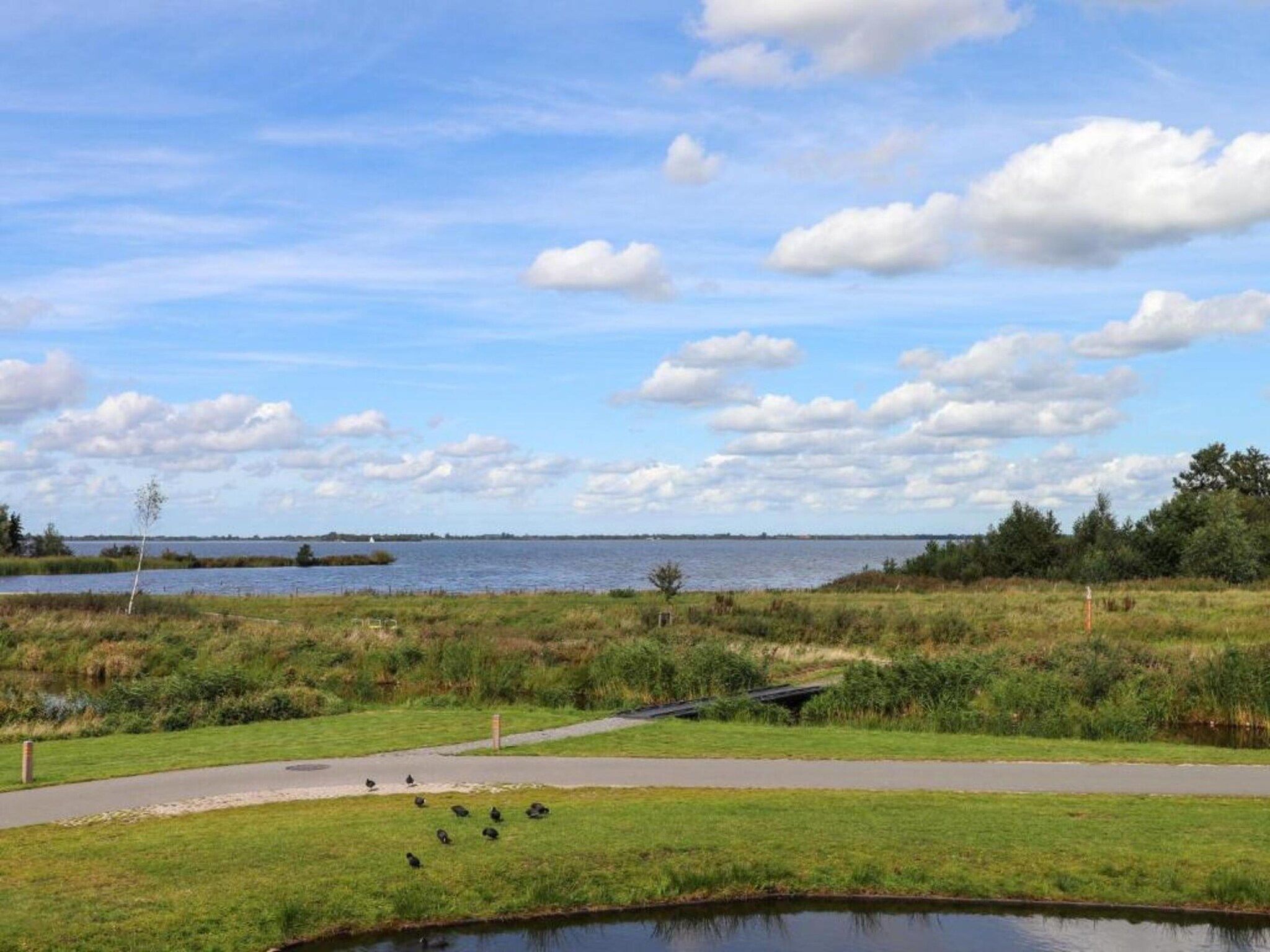 De omgeving van Docklodge 28 in Delfstrahuizen