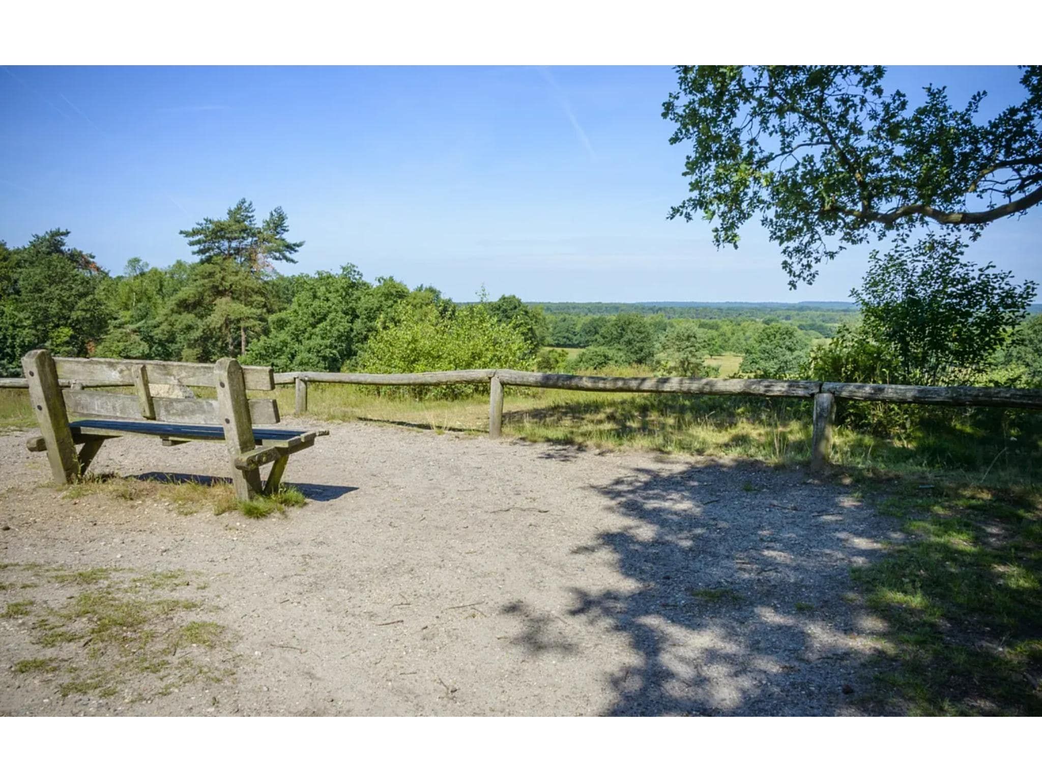 De omgeving van 4-persoons wellness lodge in Markelo