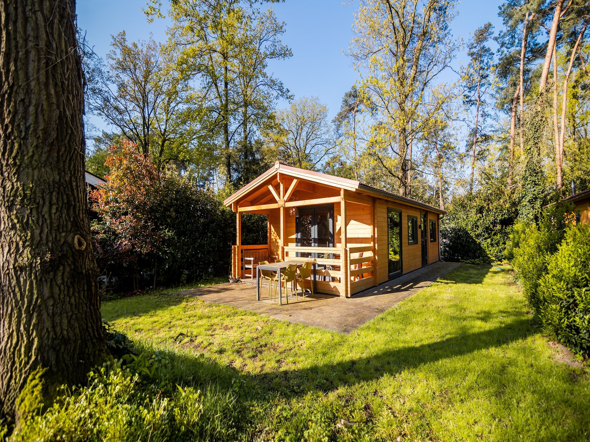 De tuin van 4-persoons wellness lodge in Markelo