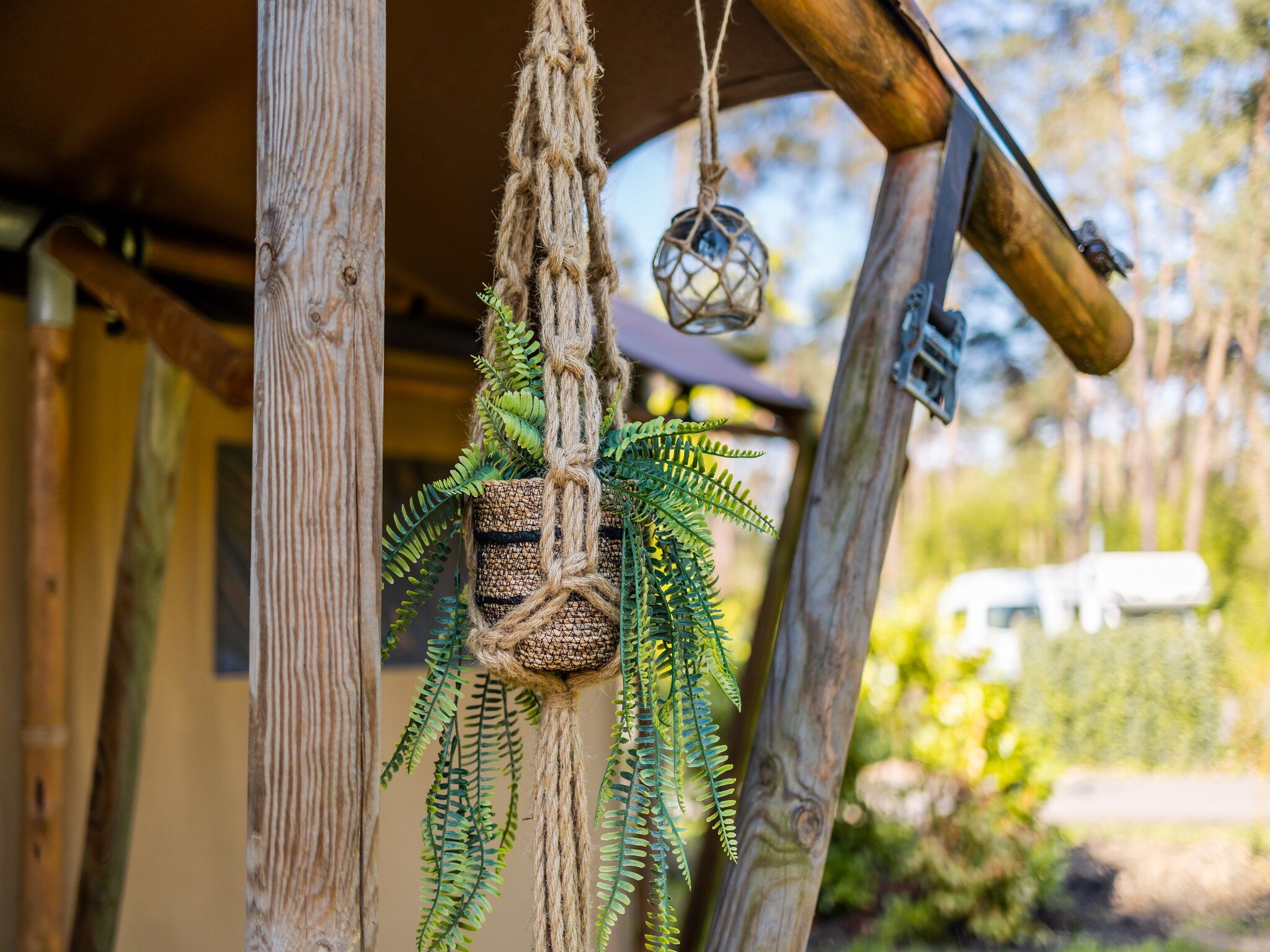 Sfeerbeeld van 6 persoons Luxe Safaritent in Markelo