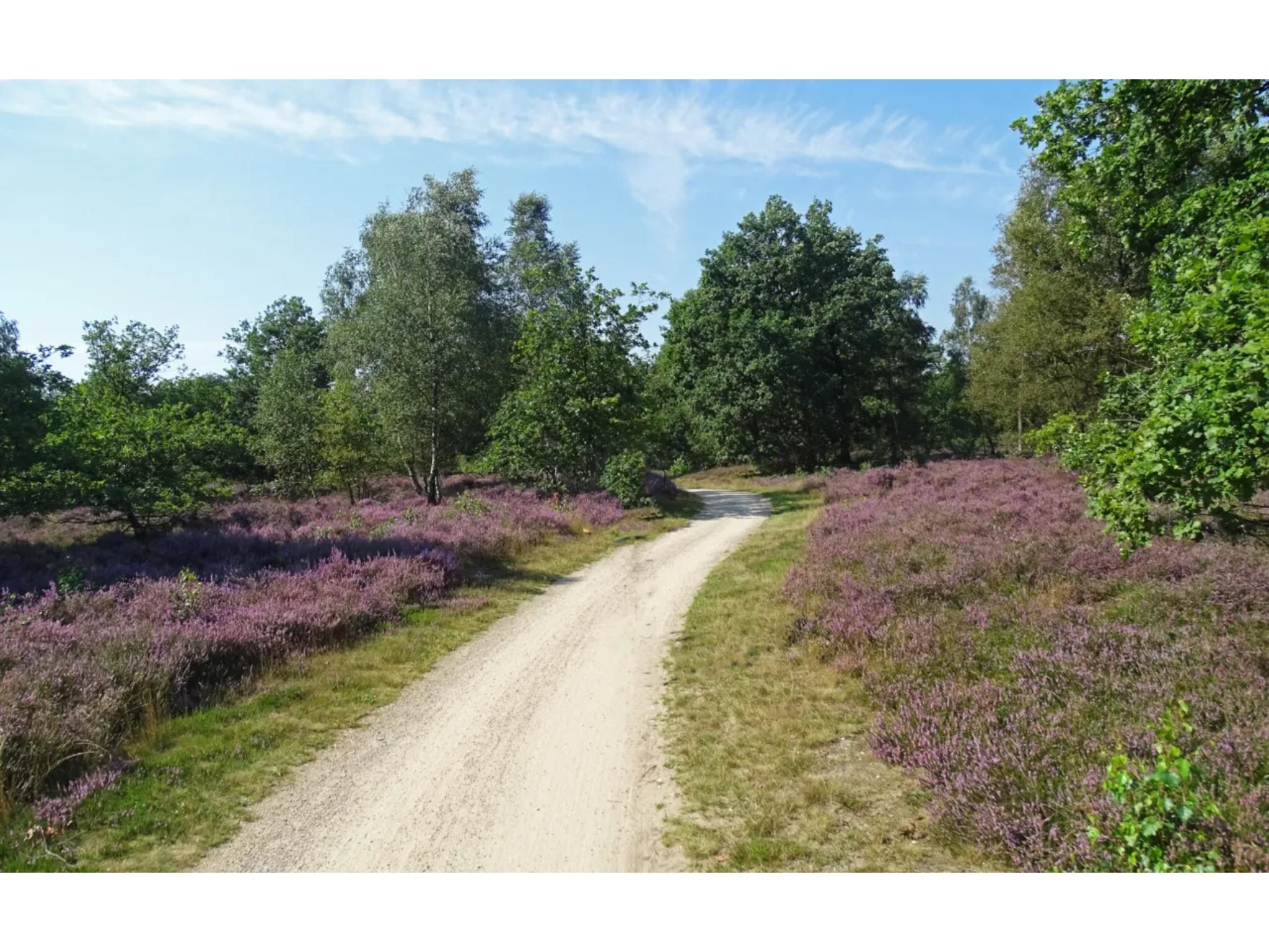 6 persoons Luxe Safaritent in Markelo - Foto 26 van 37