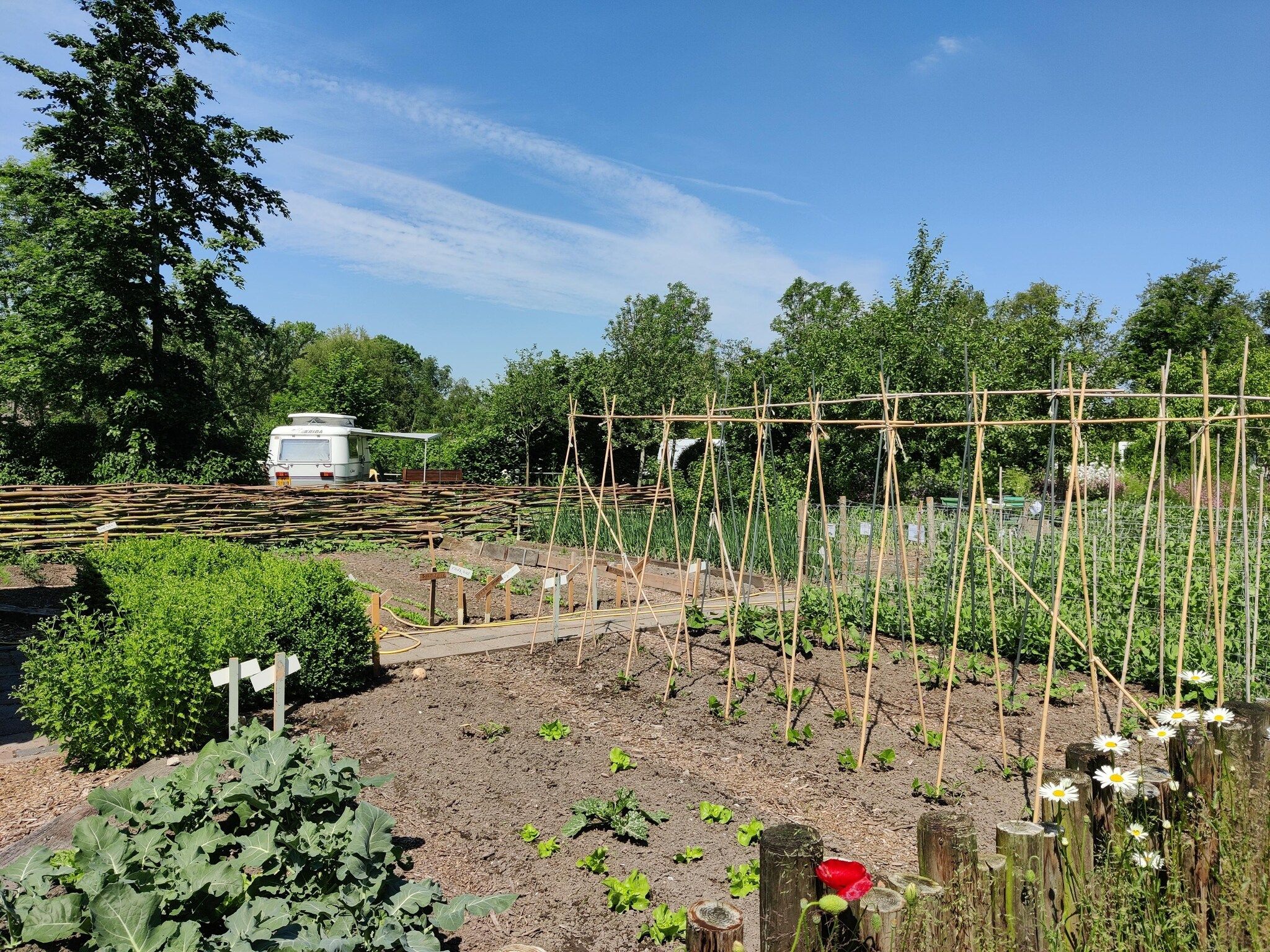 De tuin van Wetland Cabin 2 persoons (op Boetiekpark de Kas, Scherpenzeel, Friesland) in Scherpenzeel (FR)