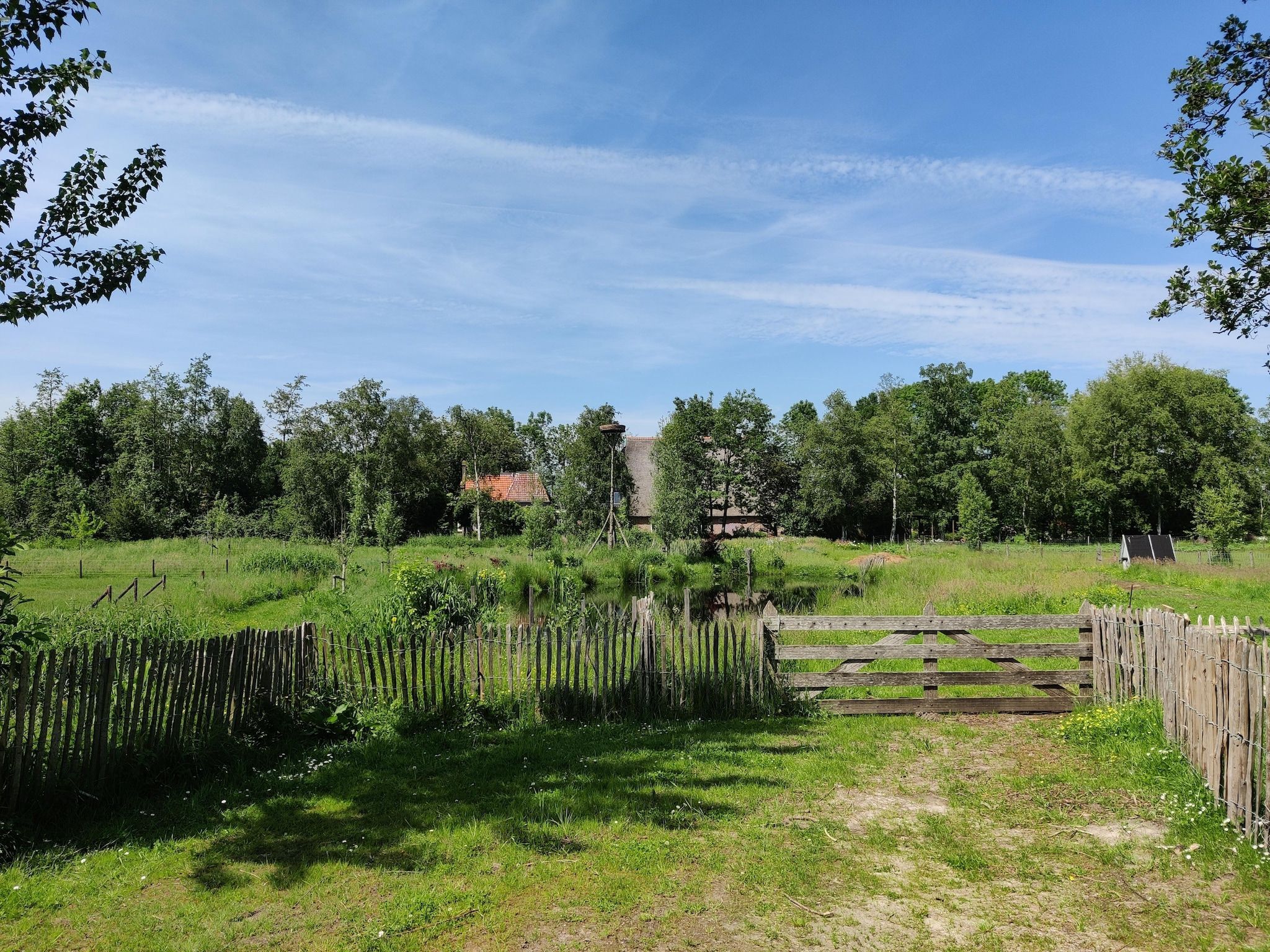 De tuin van Wetland Cabin 2 persoons (op Boetiekpark de Kas, Scherpenzeel, Friesland) in Scherpenzeel (FR)