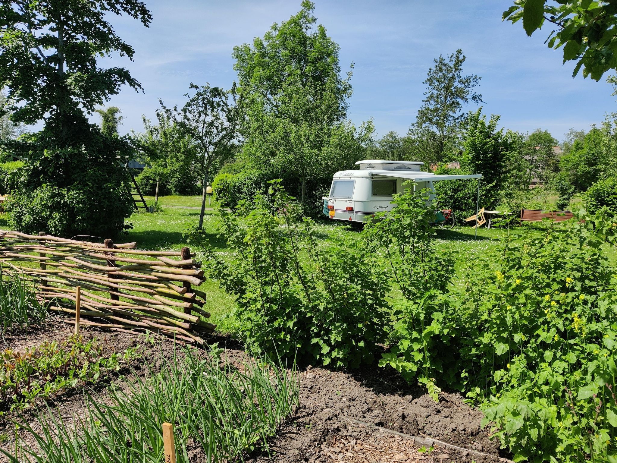 De tuin van Wetland Cabin 2 persoons (op Boetiekpark de Kas, Scherpenzeel, Friesland) in Scherpenzeel (FR)