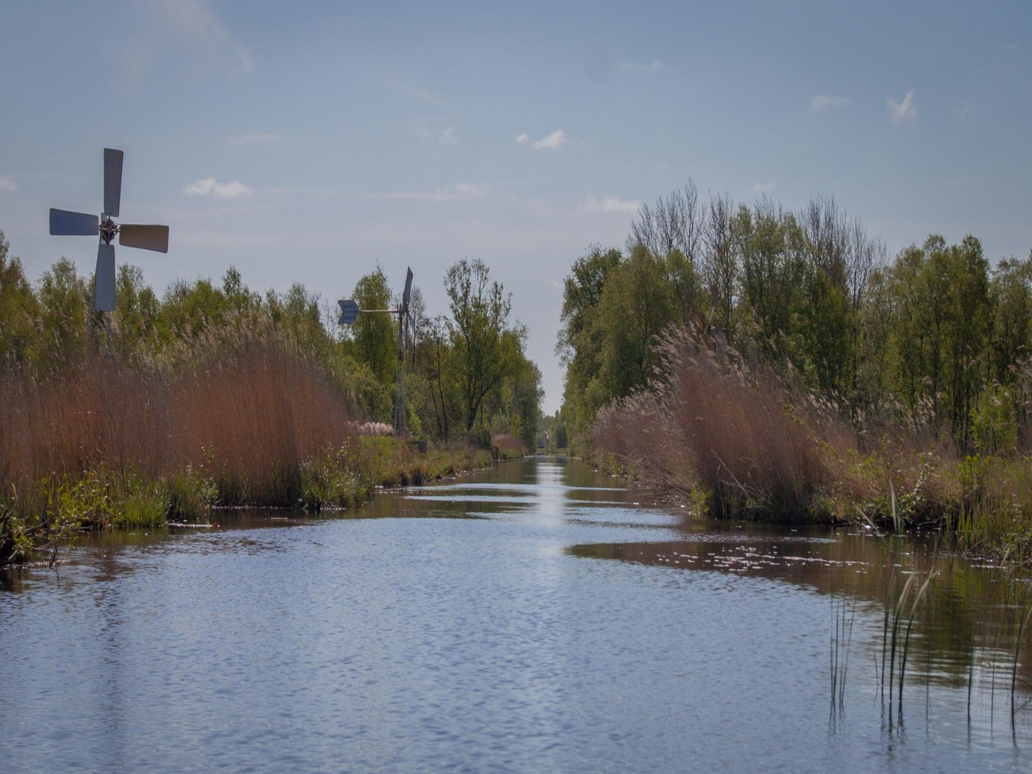 De omgeving van Wetland Cabin 2 persoons (op Boetiekpark de Kas, Scherpenzeel, Friesland) in Scherpenzeel (FR)