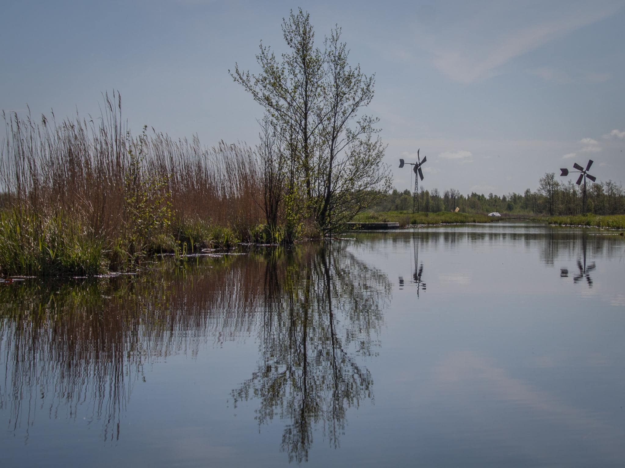 Groepsaccommodatie + 4 large greenhouses (36 personen) in Scherpenzeel (FR) - Foto 33 van 39